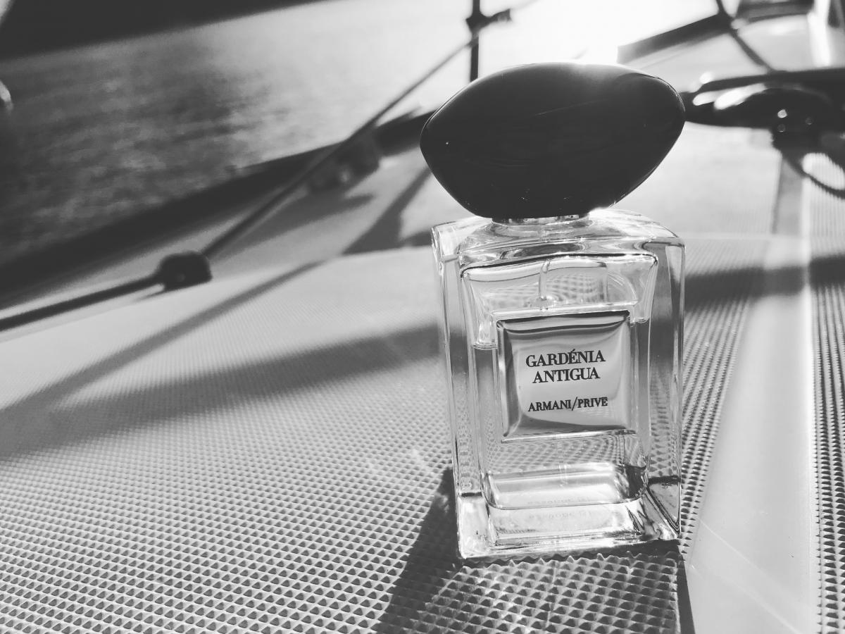 Gardénia Antigua - Giorgio Armani - Gallery 2