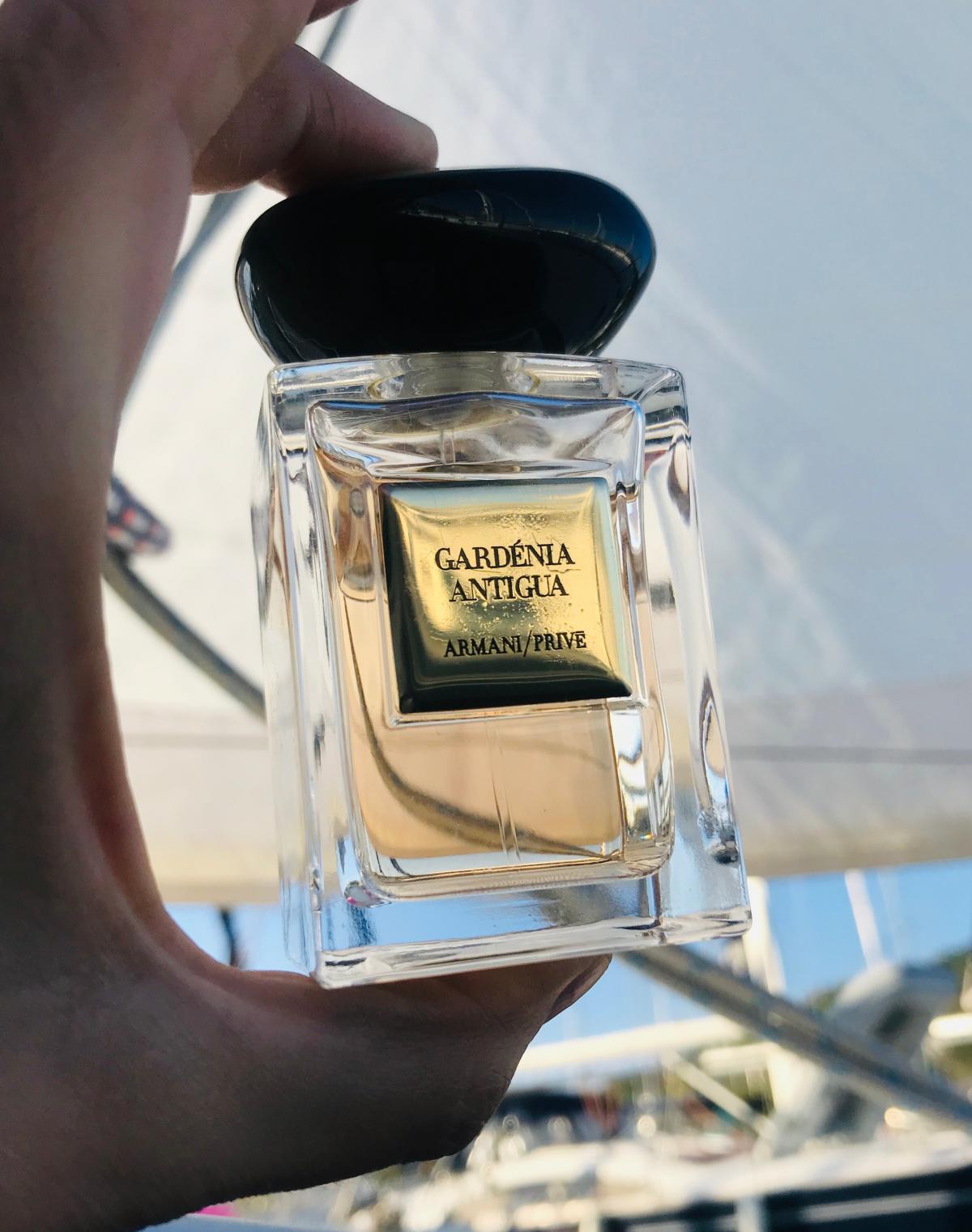 Gardénia Antigua - Giorgio Armani - Gallery 3