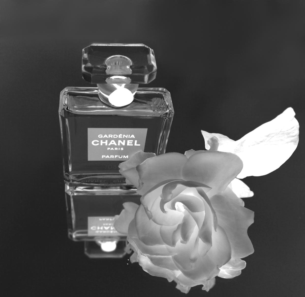 Gardénia Extrait de Parfum - Chanel - Gallery 2