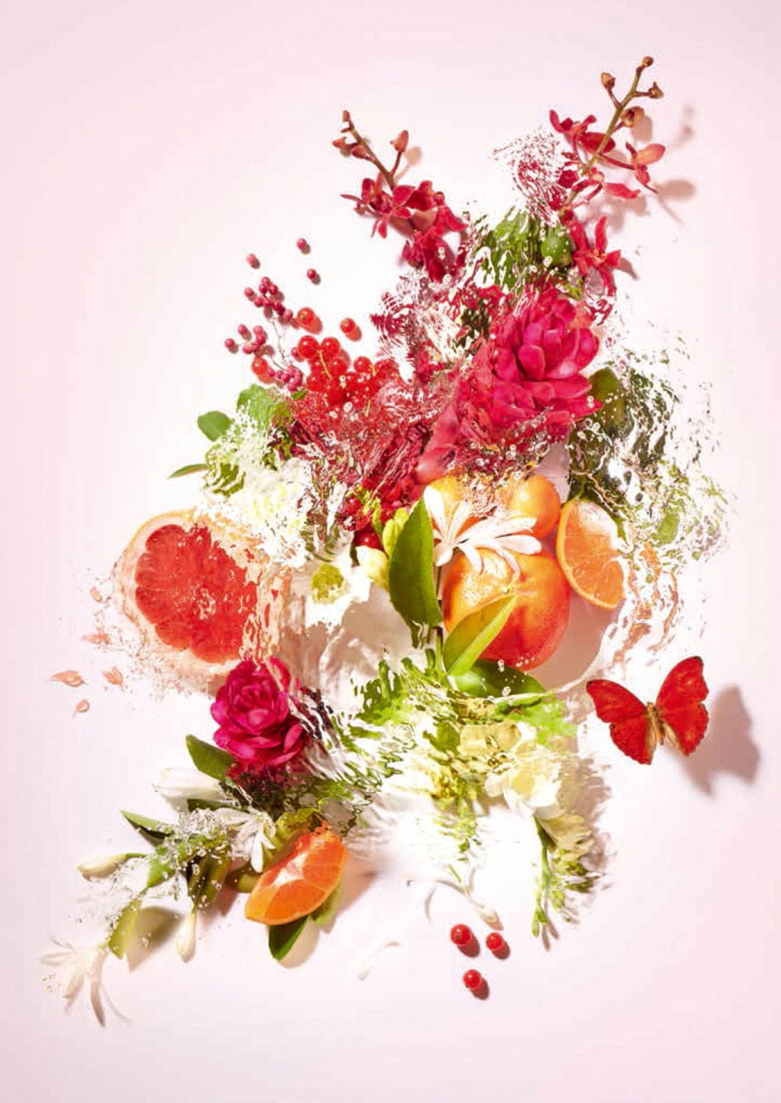 Gingembre Exquis - Roger & Gallet - Gallery 4