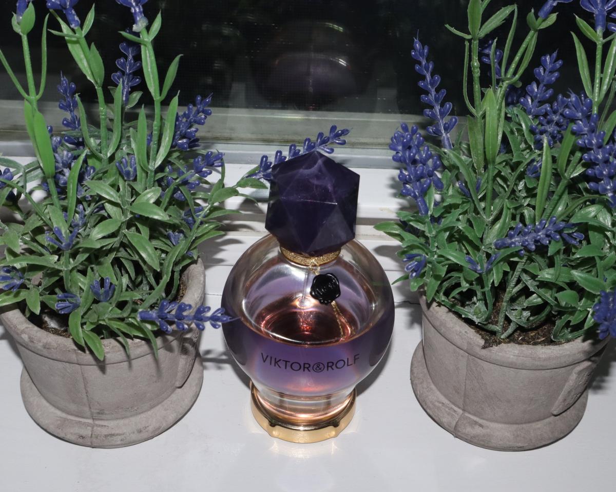 Good Fortune - Viktor&Rolf - Gallery 1