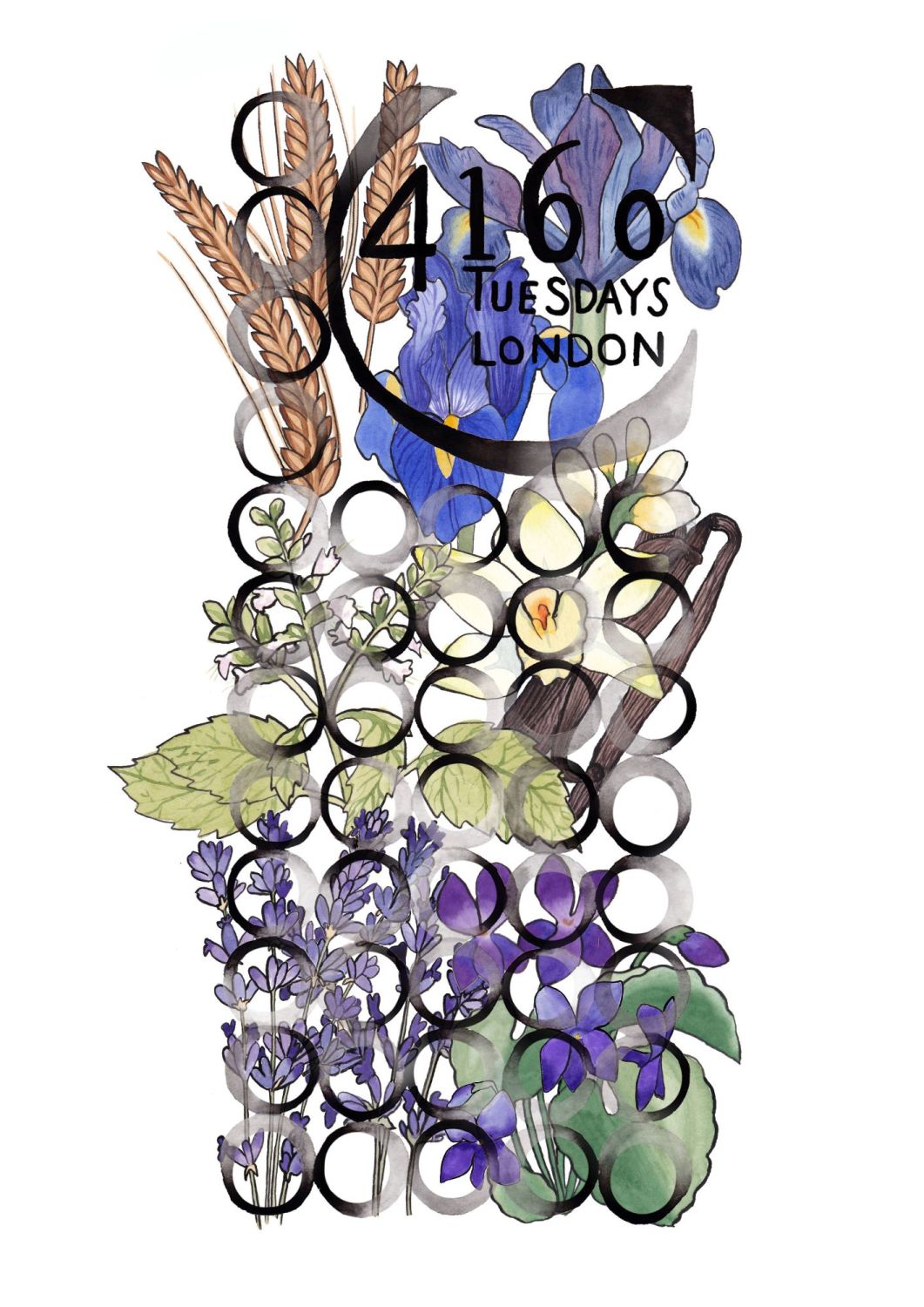 Goodbye Piccadilly - 4160 Tuesdays - Gallery 1