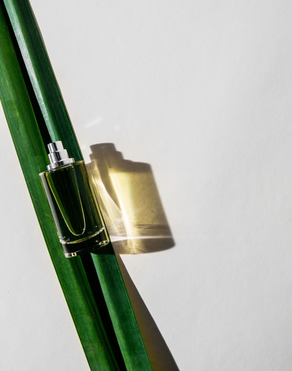 Green Cedar - Abel - Gallery 2