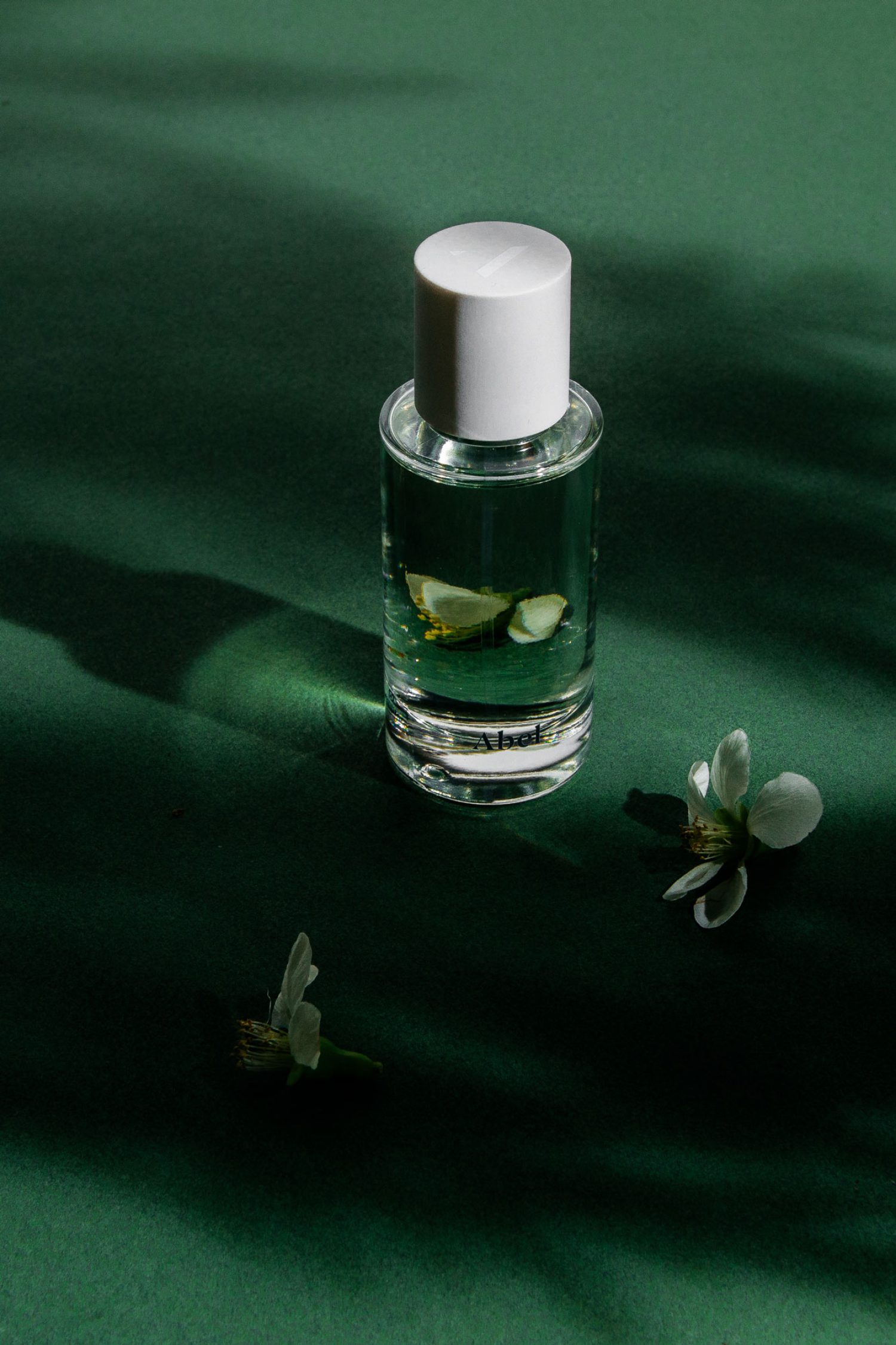 Green Cedar - Abel - Gallery 3