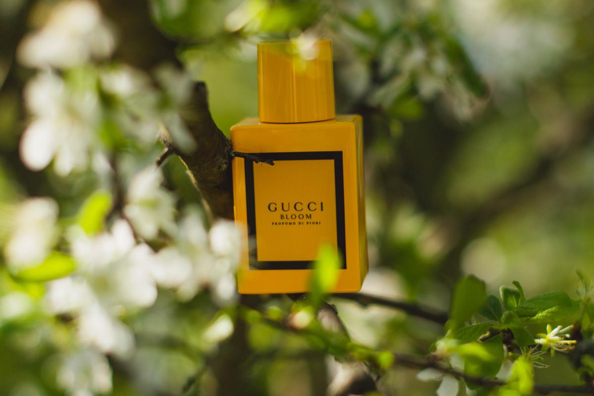 Gucci Bloom Profumo Di Fiori - Gucci - Gallery 3