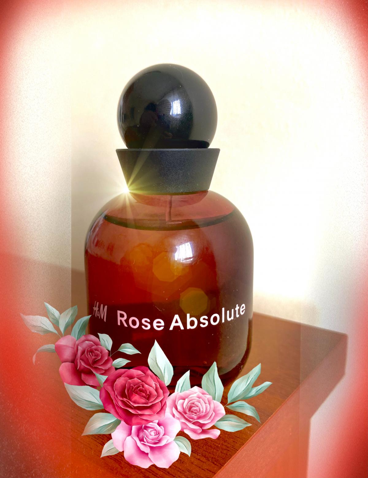 H&M Rose Absolute - H&M - Gallery 2