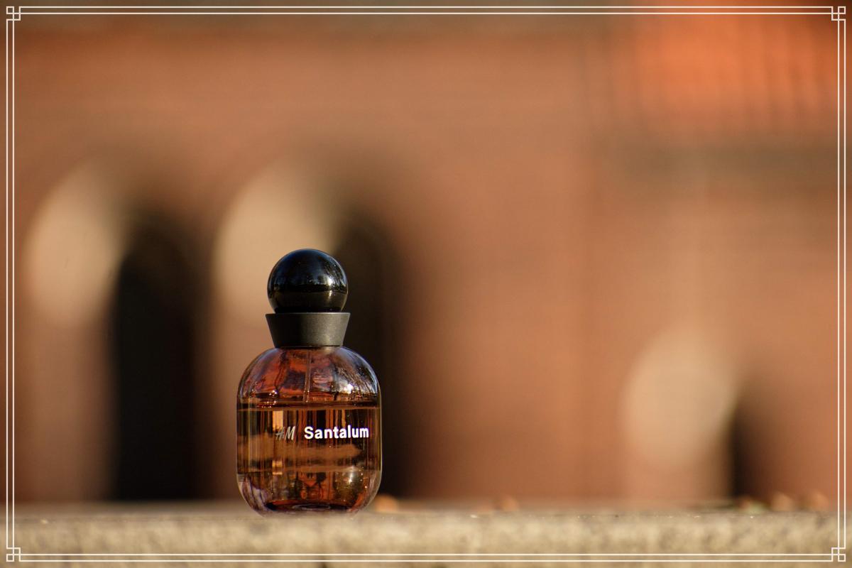 H&M Santalum - H&M - Gallery 1