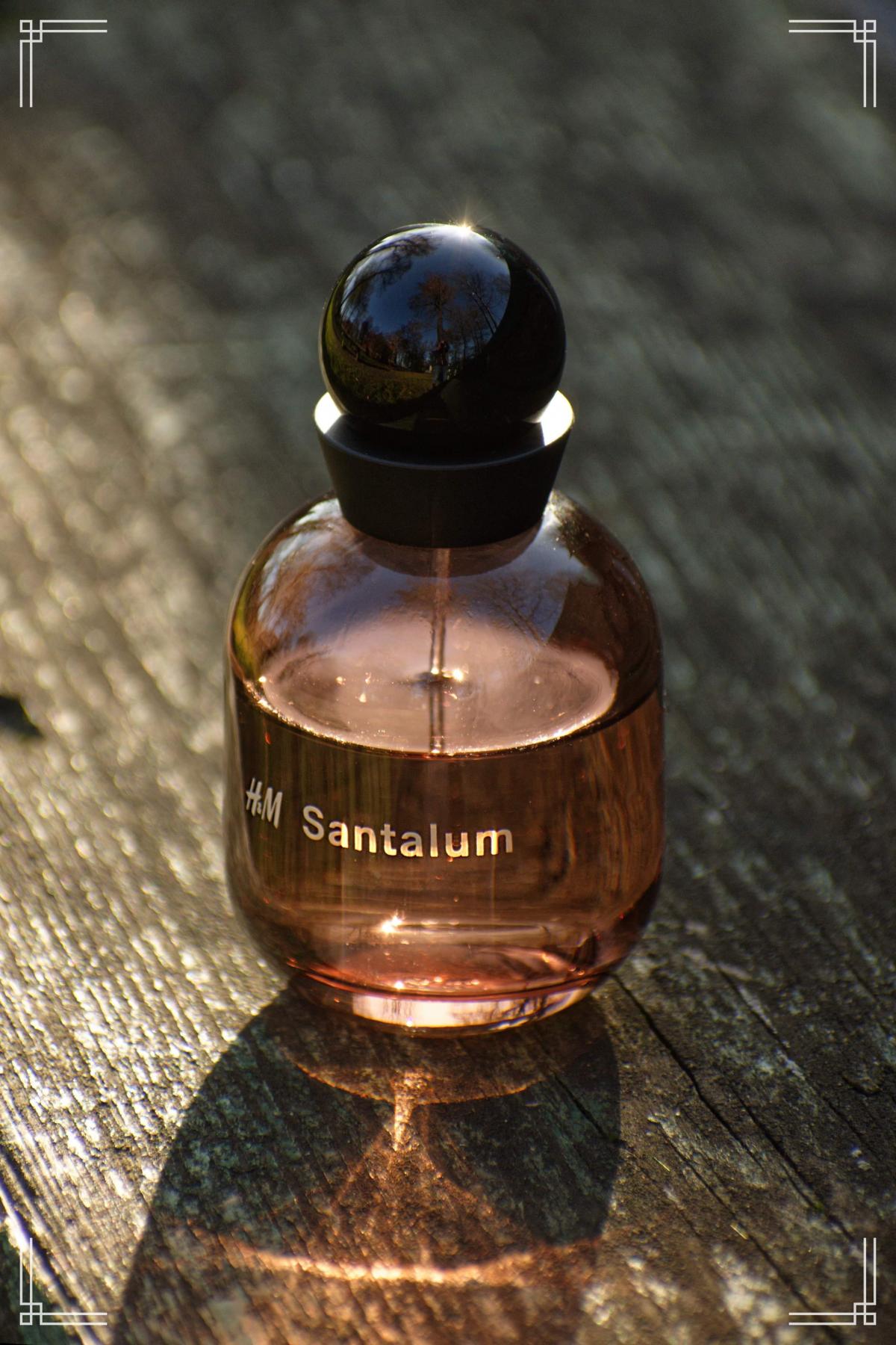 H&M Santalum - H&M - Gallery 2