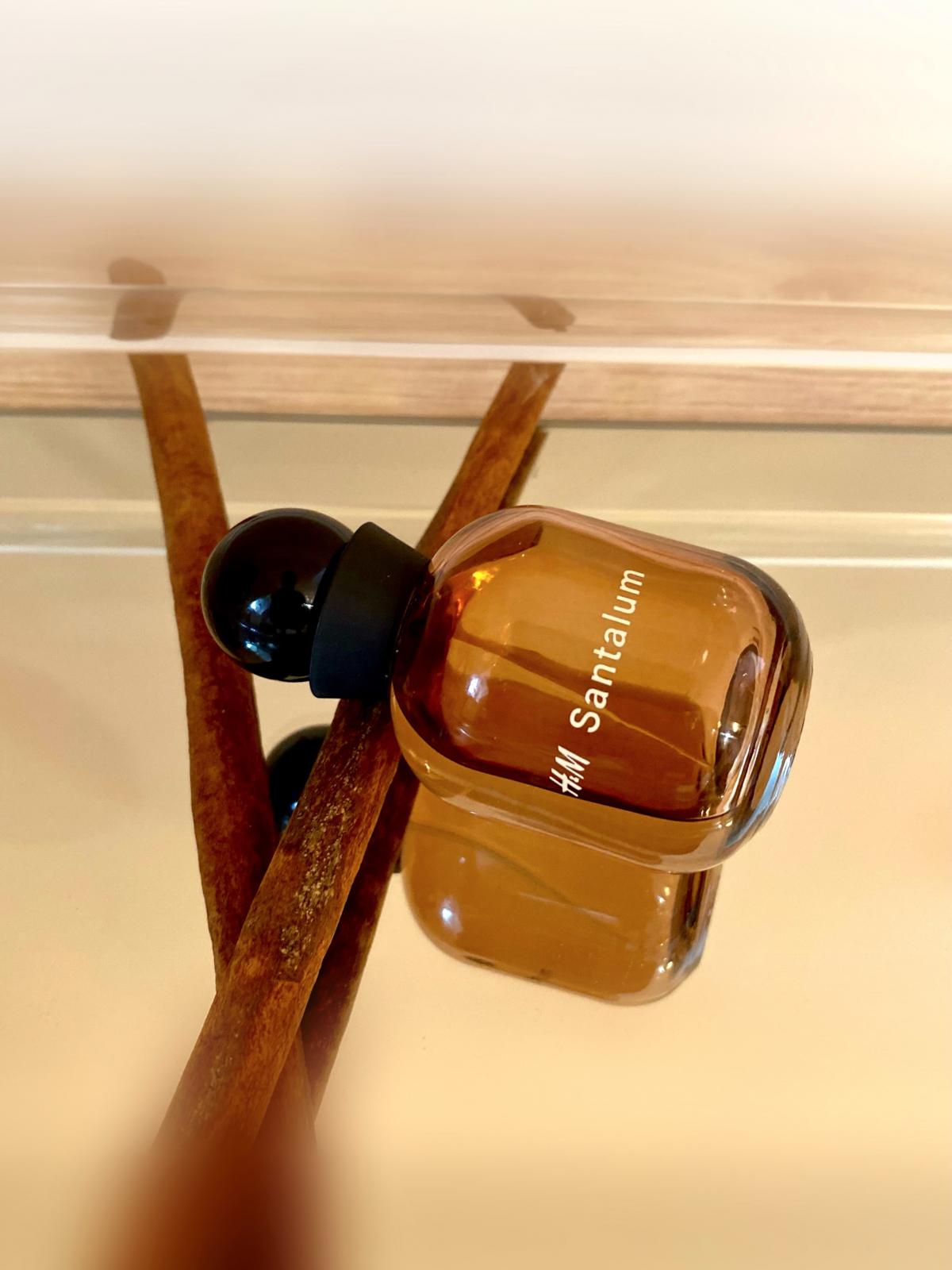 H&M Santalum - H&M - Gallery 3