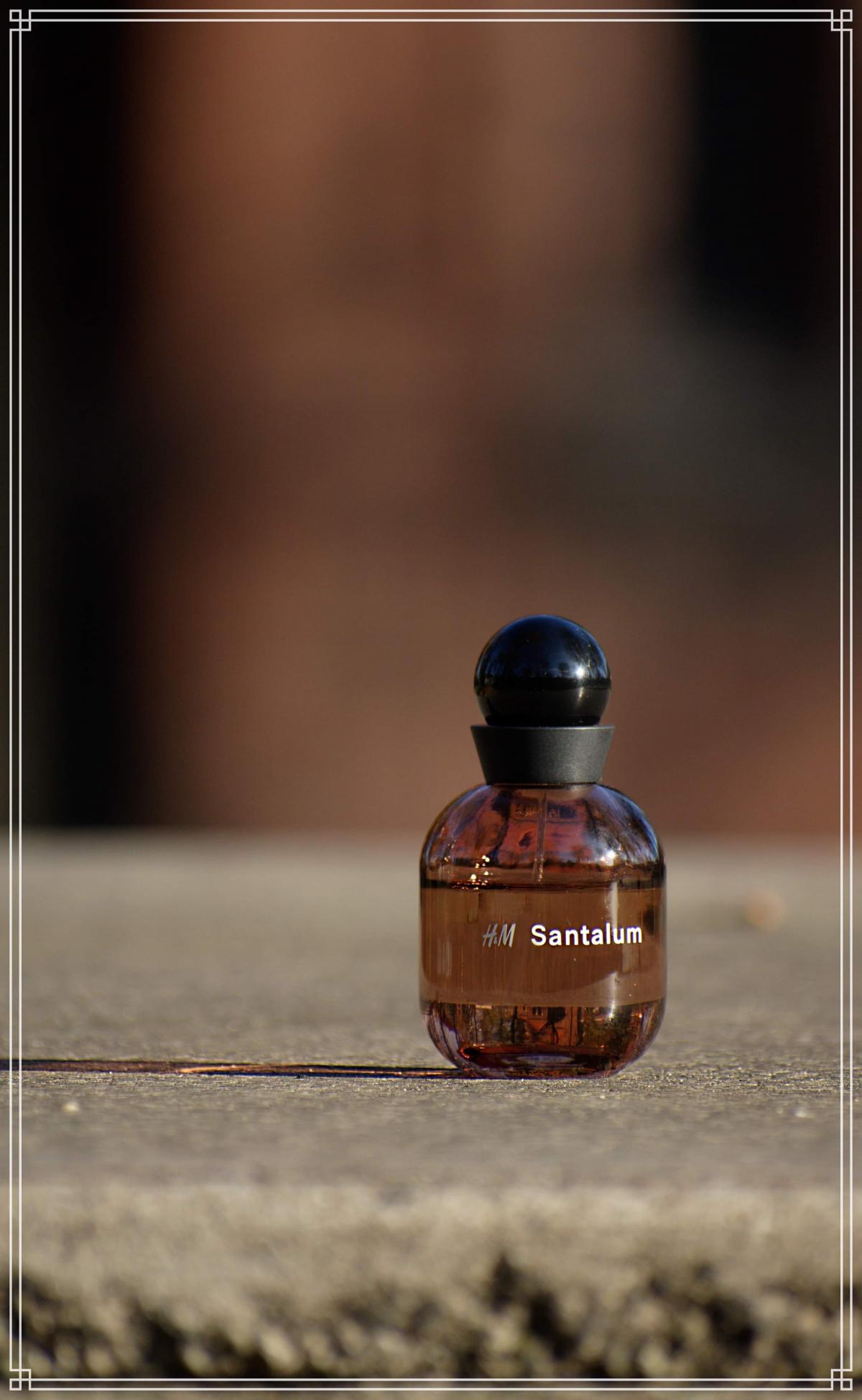 H&M Santalum - H&M - Gallery 4