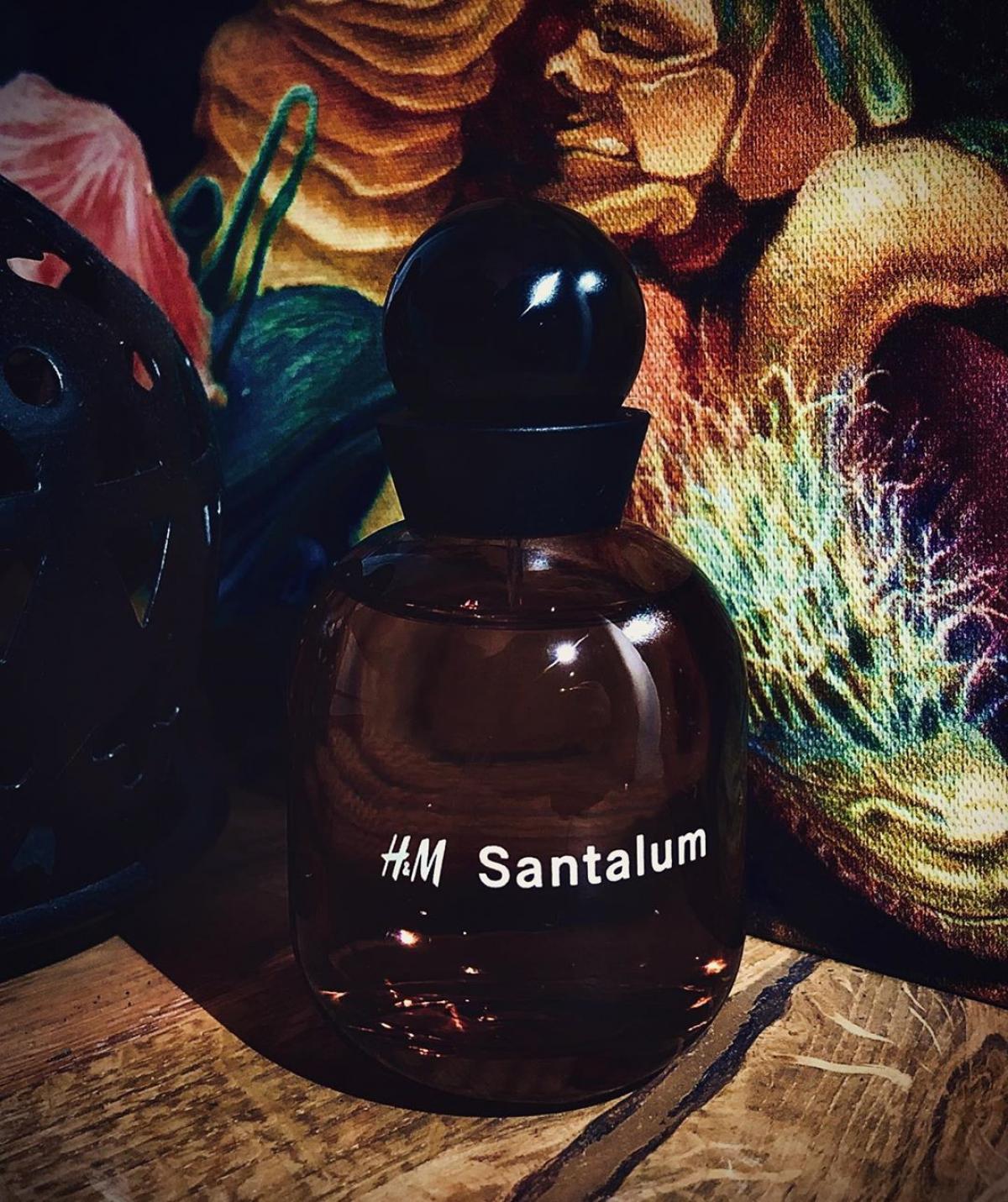 H&M Santalum - H&M - Gallery 2