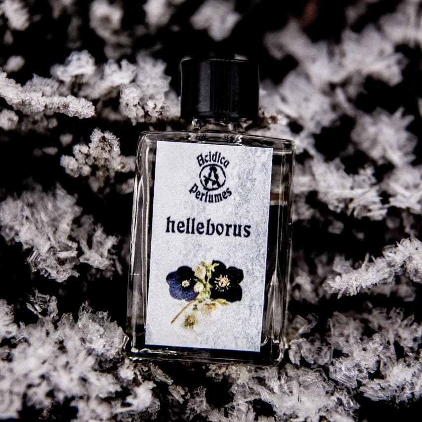 Helleborus - Acidica Perfumes - Gallery 1