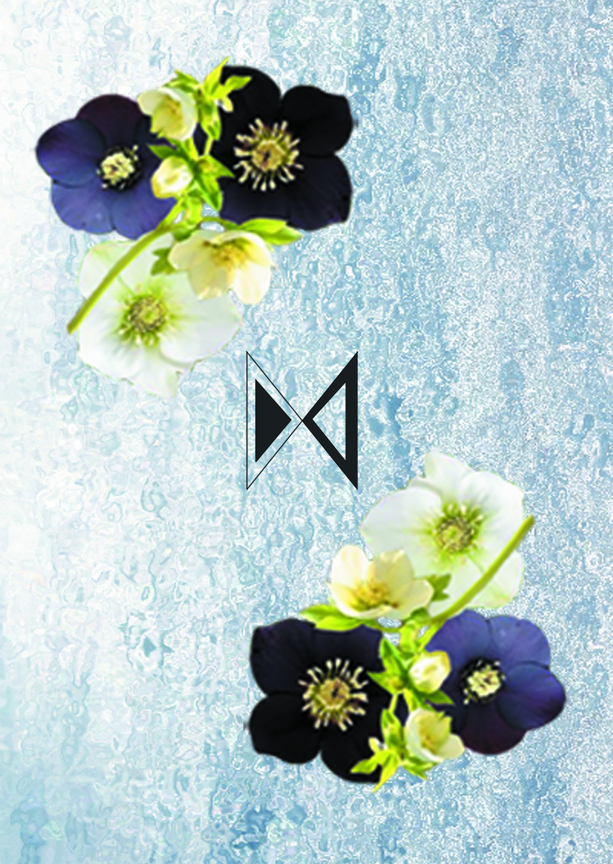 Helleborus - Acidica Perfumes - Gallery 2