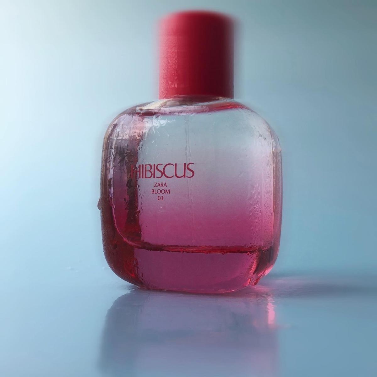 Hibiscus - Zara - Gallery 2