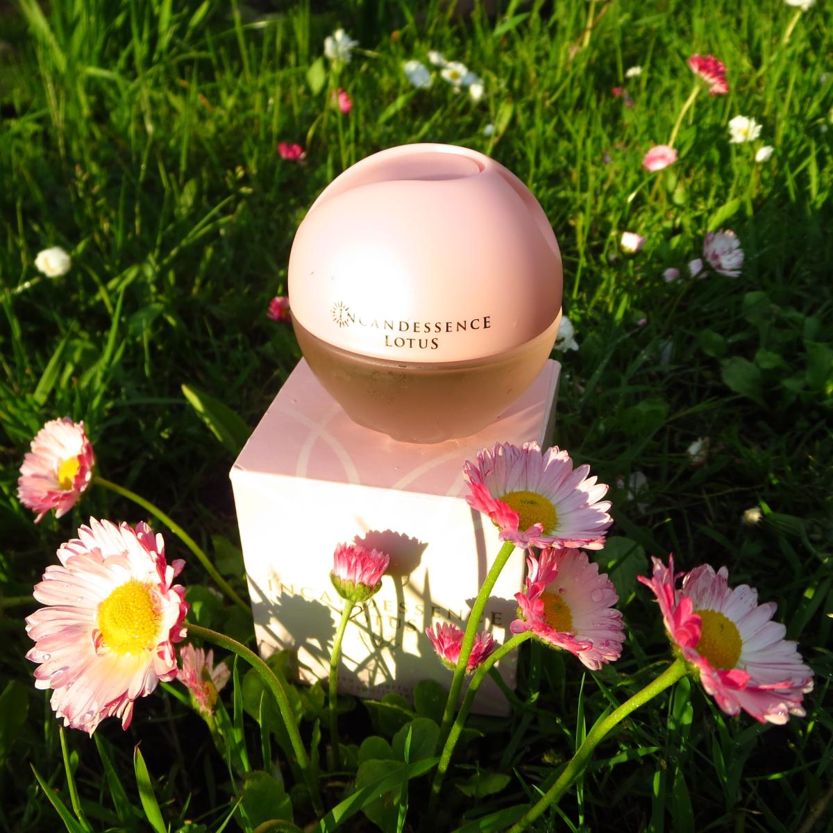 Incandessence Lotus - Avon - Gallery 1