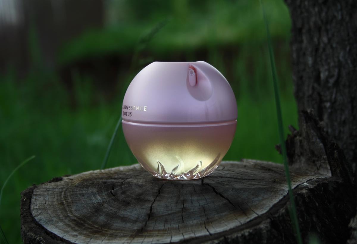 Incandessence Lotus - Avon - Gallery 3