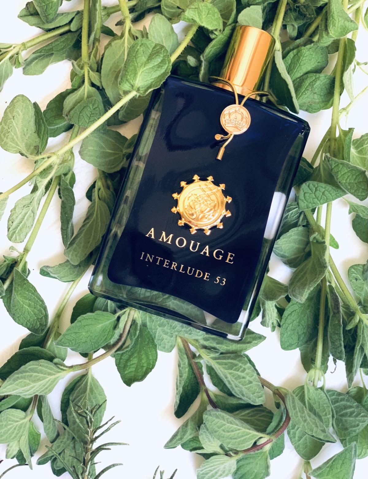 Interlude 53 - Amouage - Gallery 3