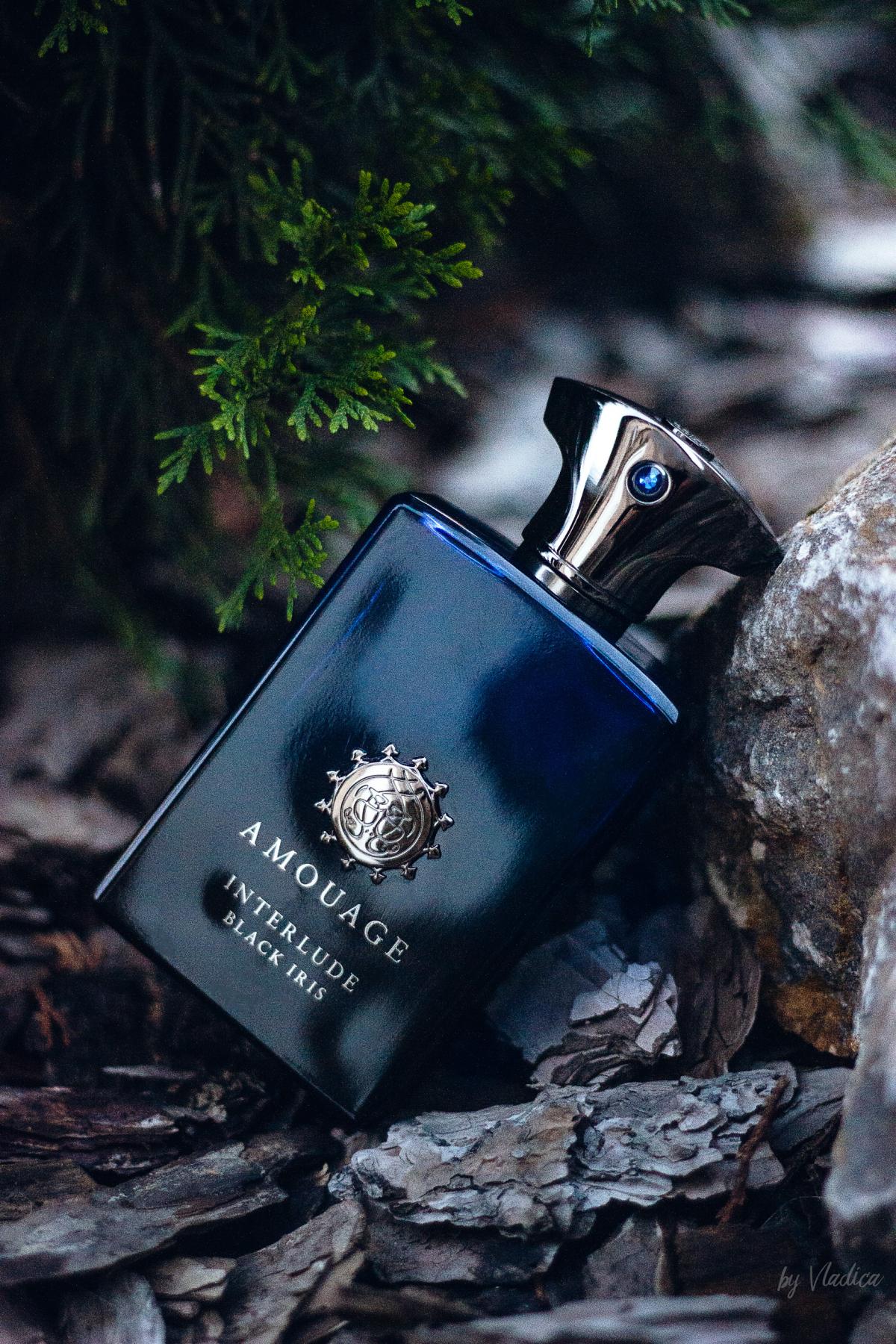 Interlude Black Iris - Amouage - Gallery 1