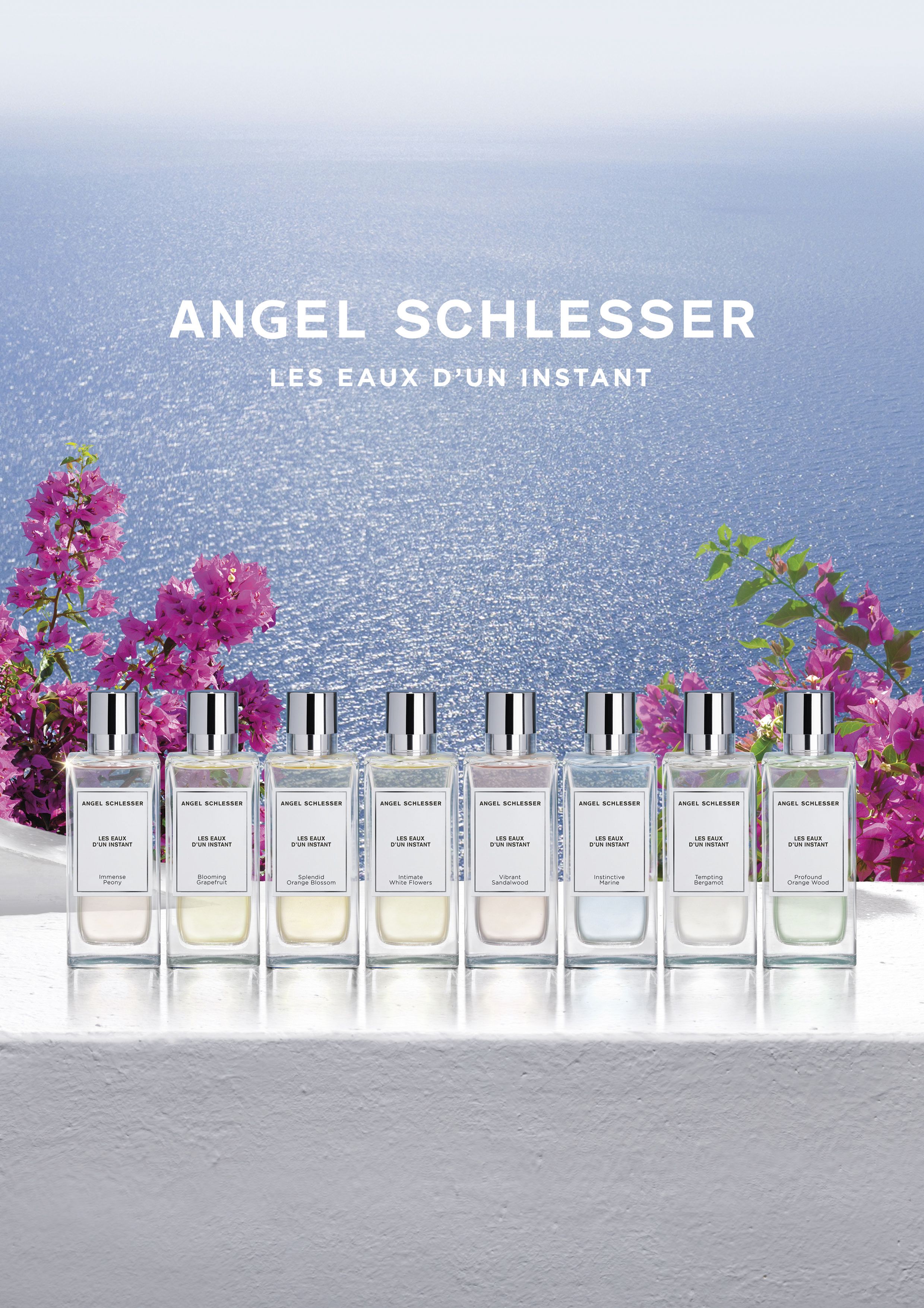 Intimate White Flowers - Angel Schlesser - Gallery 4