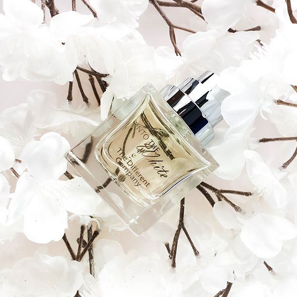 Into The White - The Different Company - Gallery 2