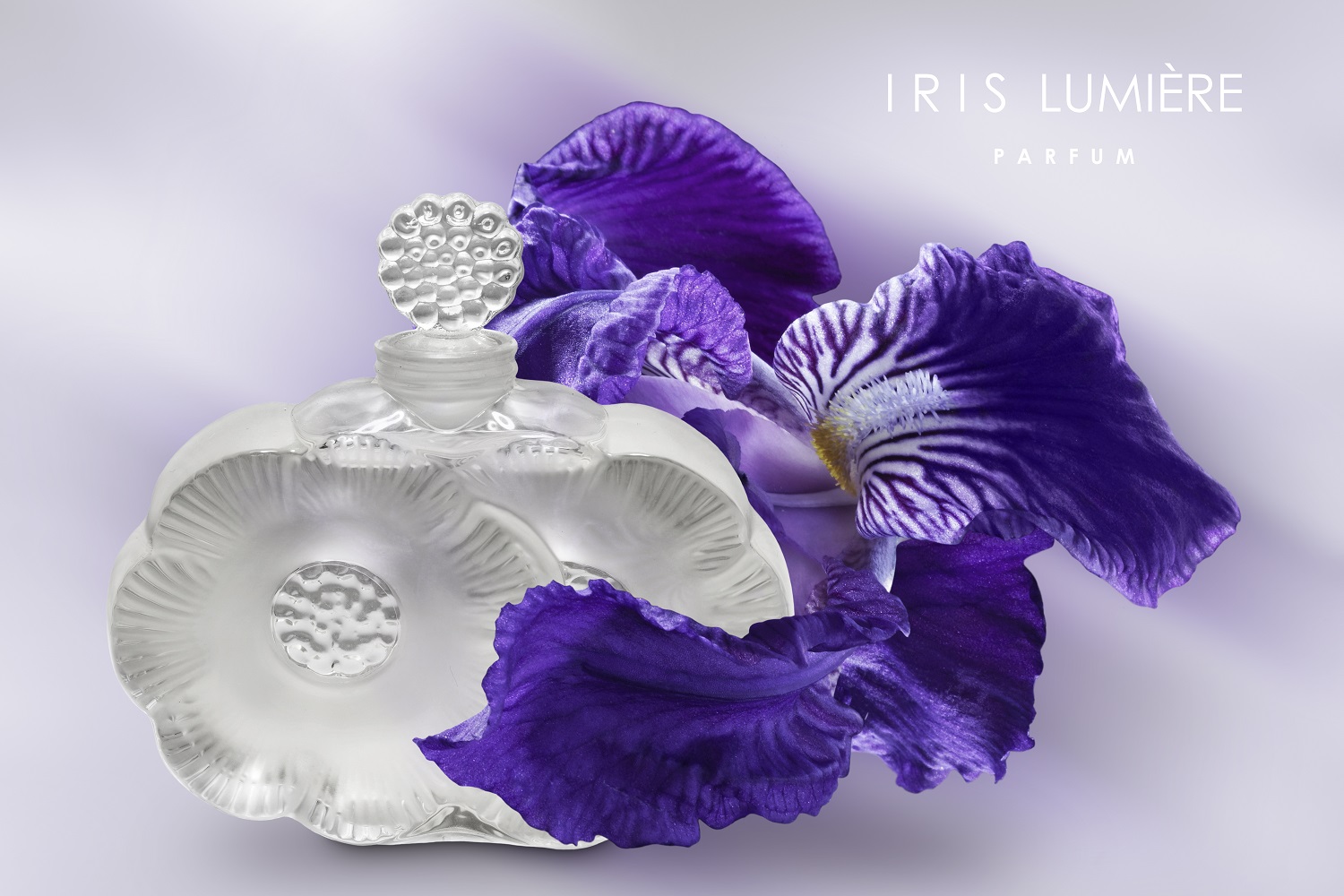 Iris Lumière - Shalini - Gallery 4