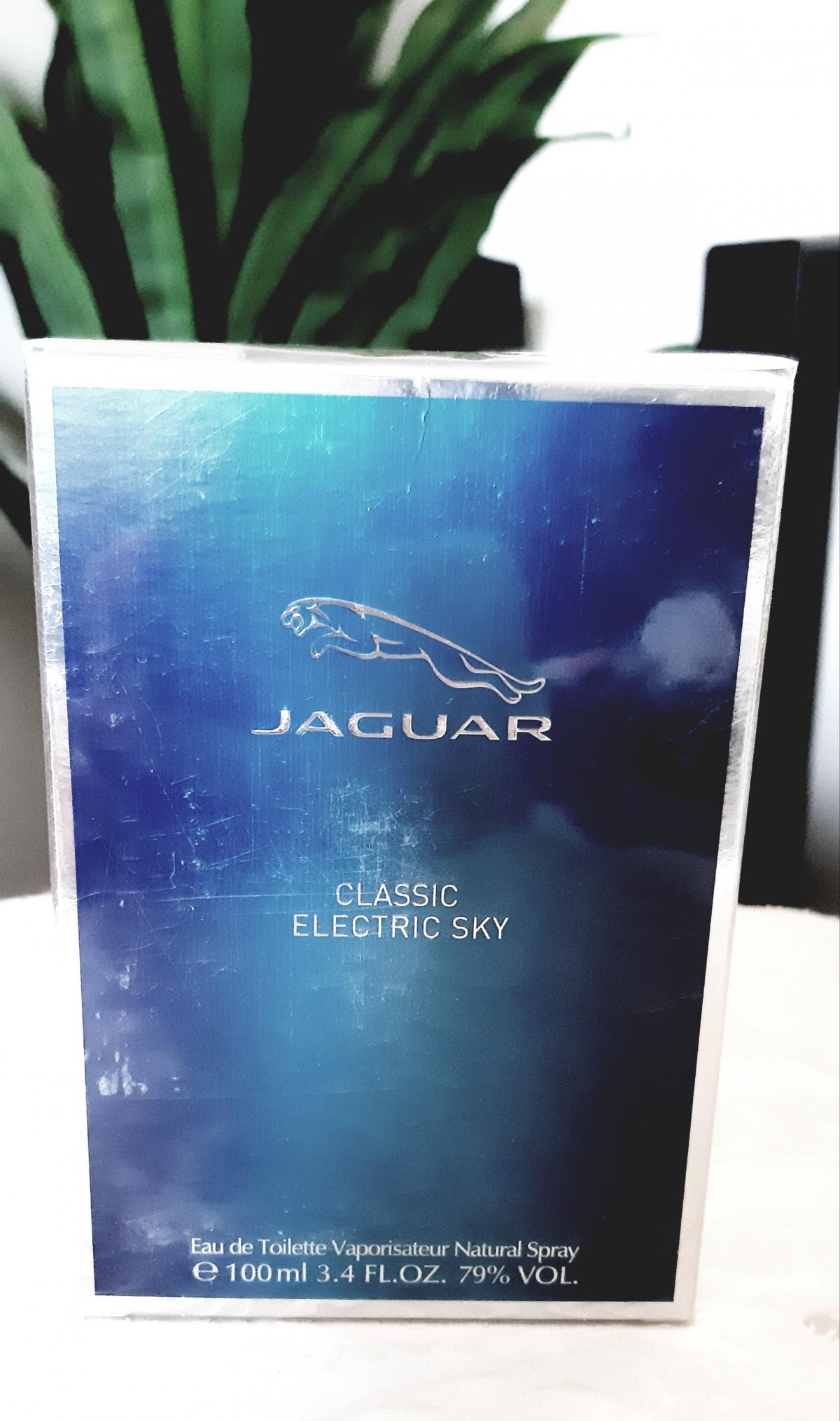 Jaguar Classic Electric Sky - Jaguar - Gallery 1