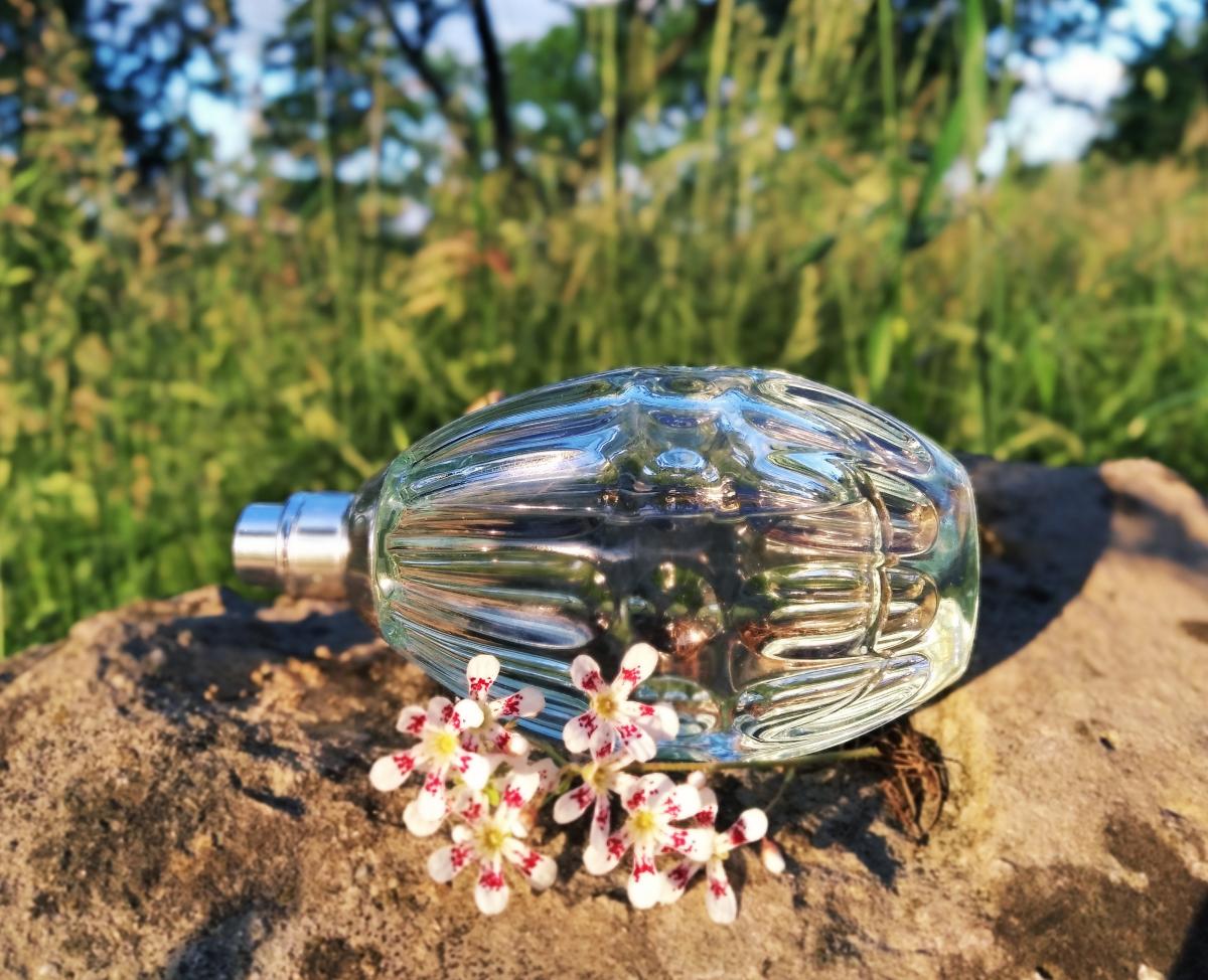 Jimmy Choo Floral - Jimmy Choo - Gallery 1