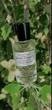 Joyeux Osmanthe - Maison Rebatchi - Gallery 2