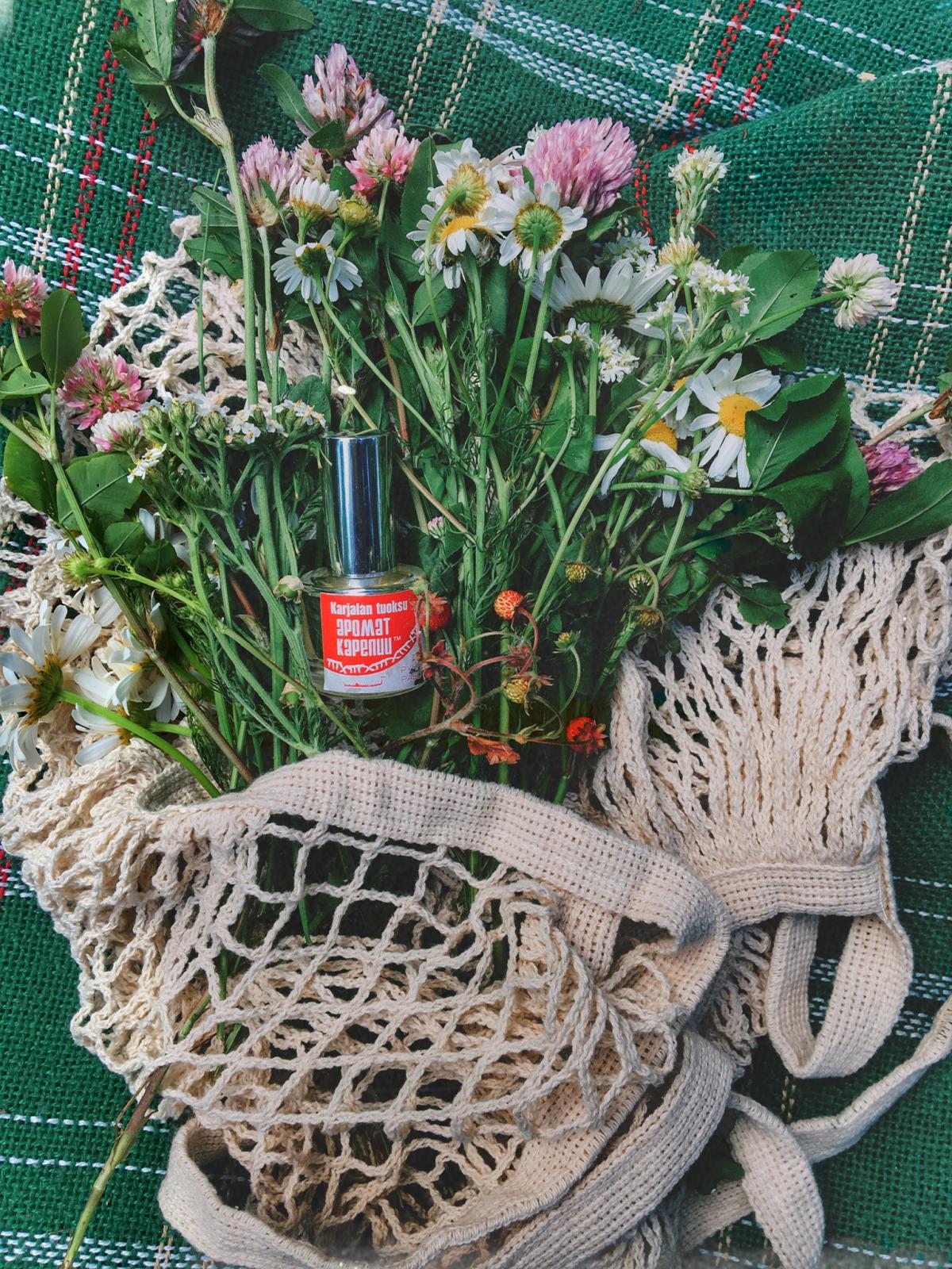 Karjalan tuoksu - Aroma Karelia - Gallery 2