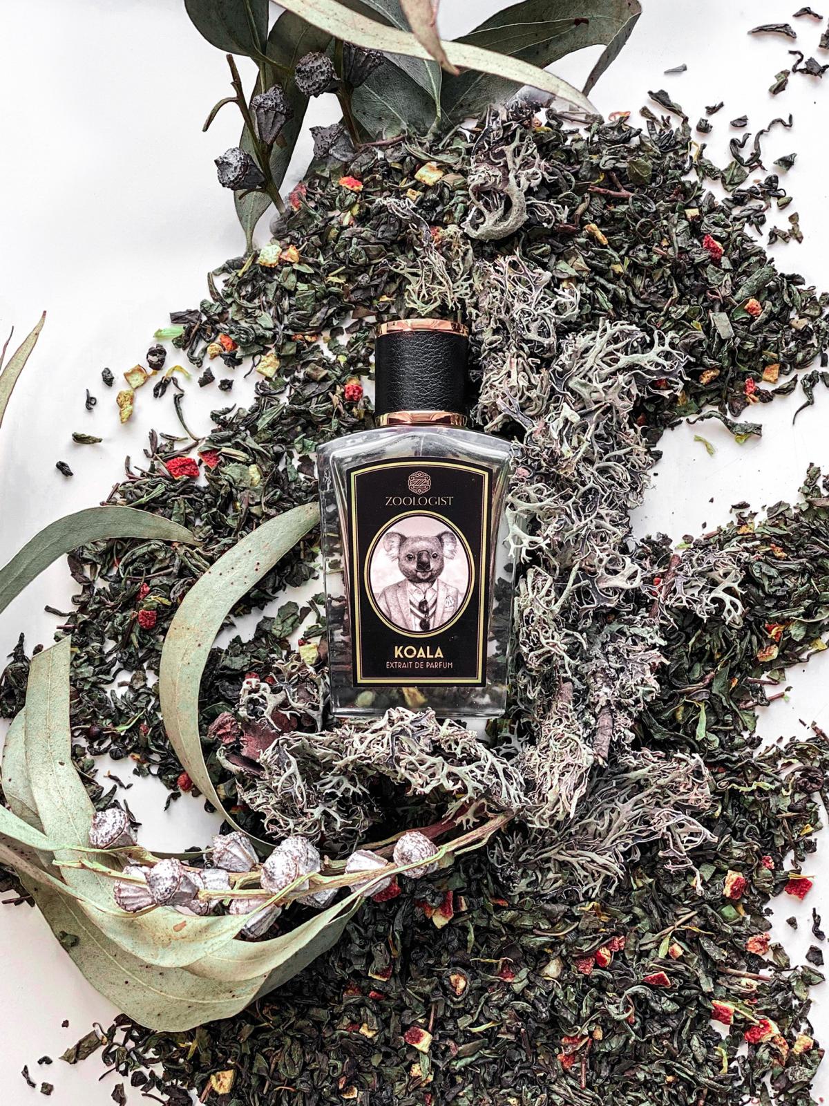 Koala - Zoologist Perfumes - Gallery 1