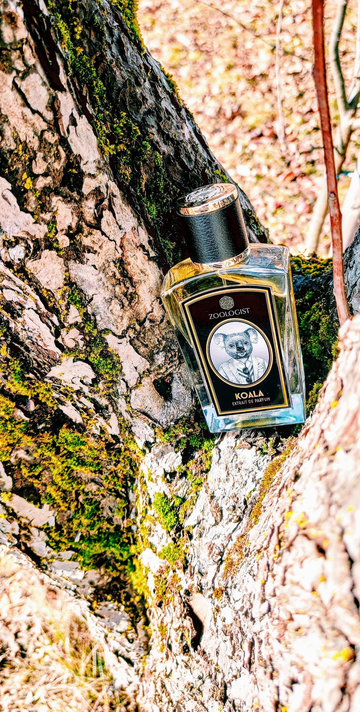 Koala - Zoologist Perfumes - Gallery 2