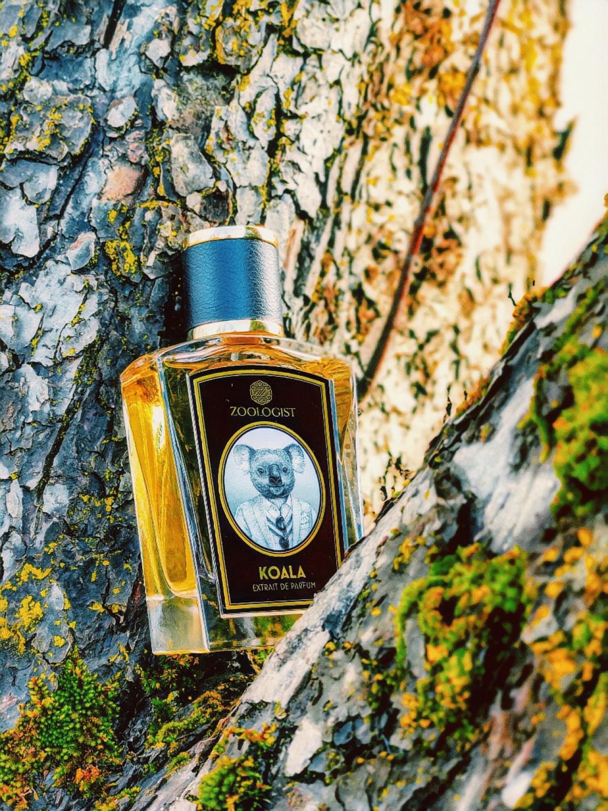 Koala - Zoologist Perfumes - Gallery 3