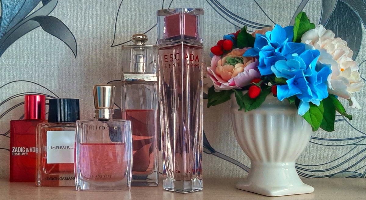 L'Imperatrice Limited Edition - Dolce&Gabbana - Gallery 4