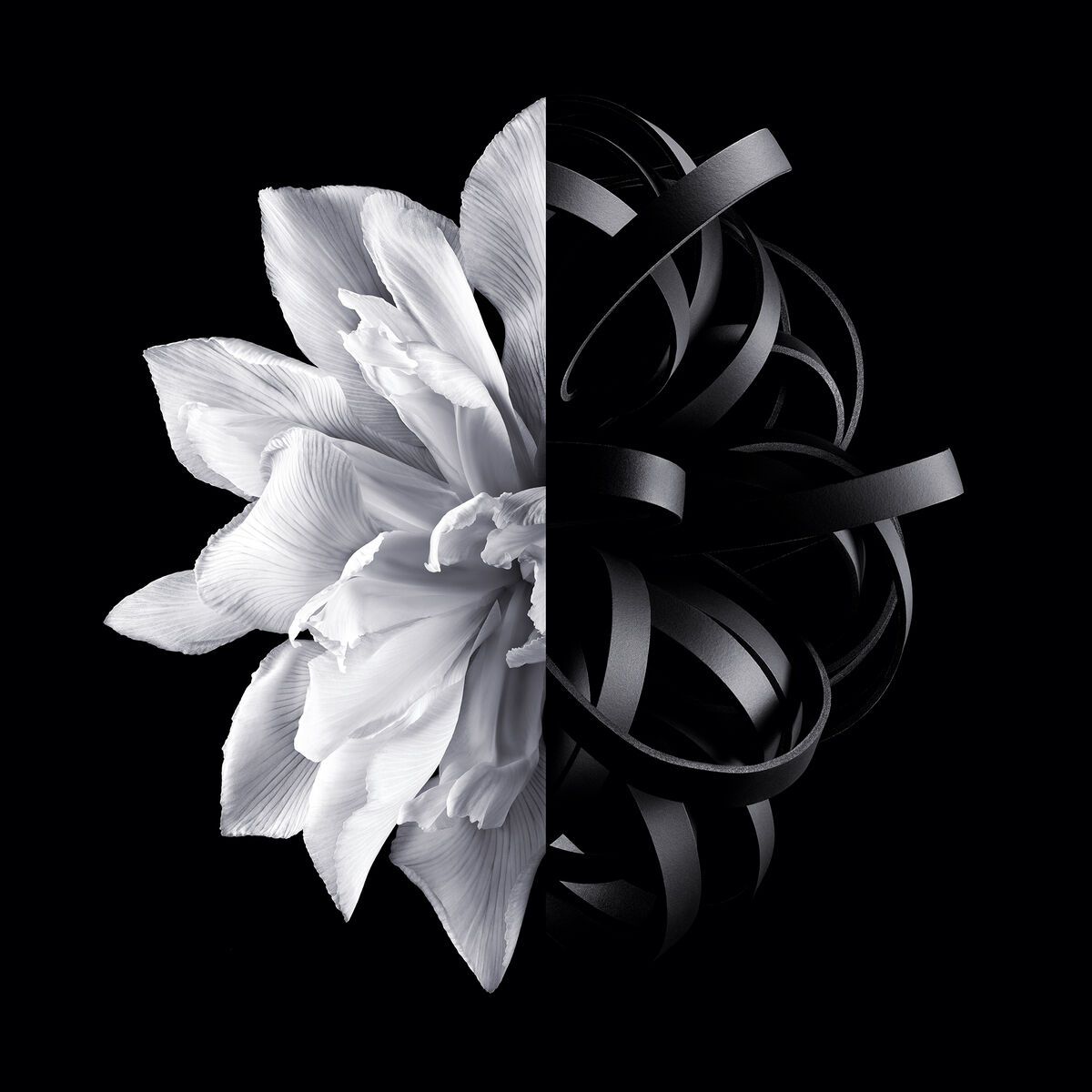 L'Interdit Eau de Toilette (2022) - Givenchy - Gallery 2
