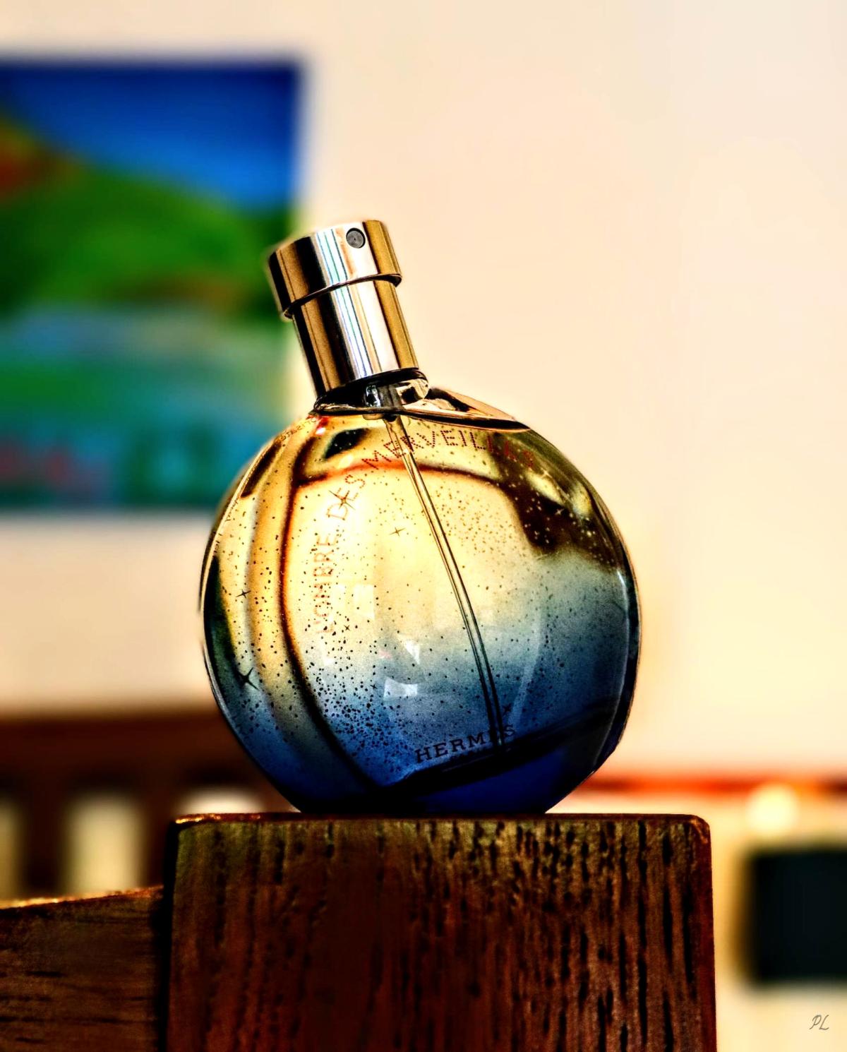 L'Ombre Des Merveilles - Hermès - Gallery 3
