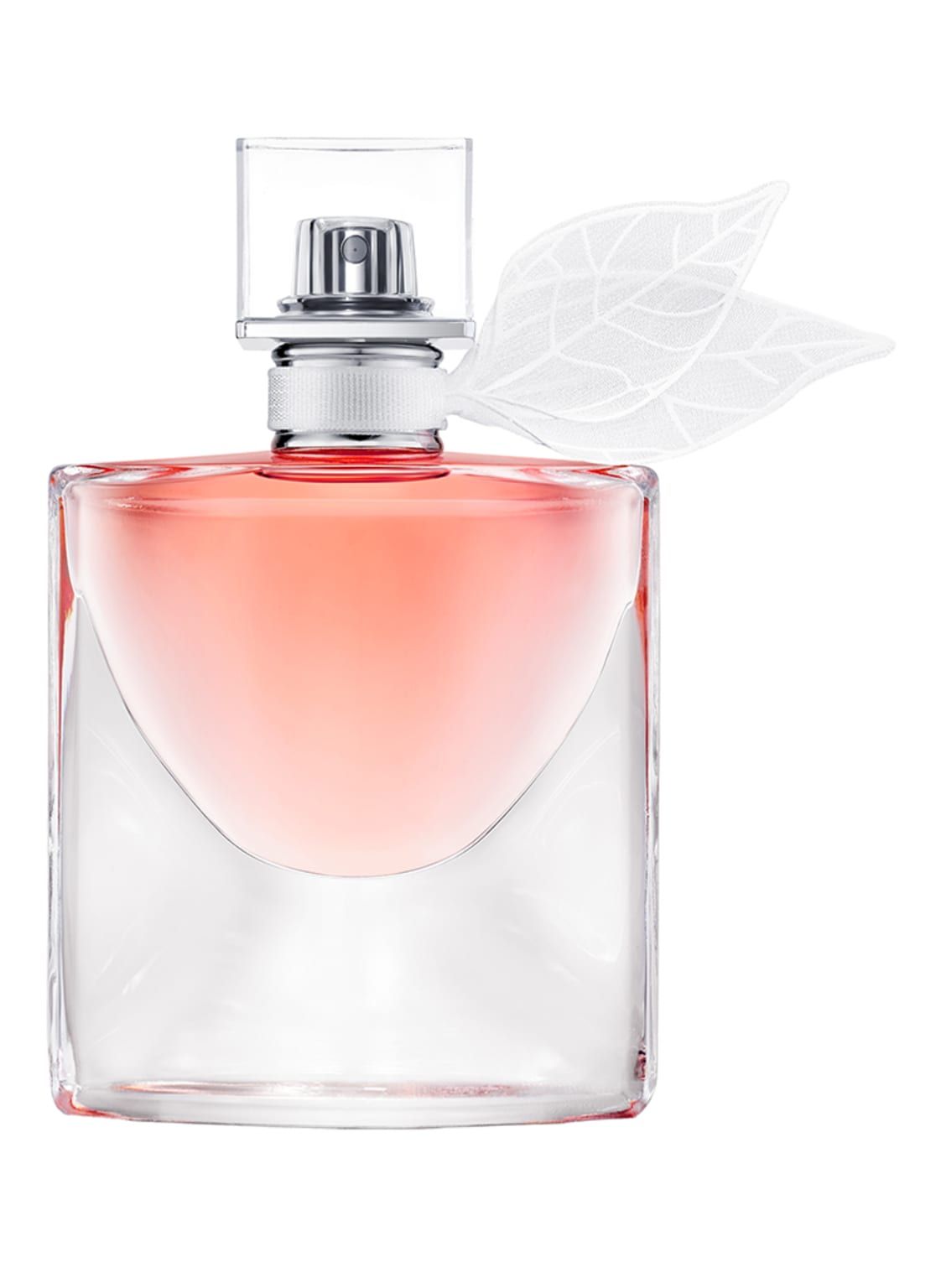 La Vie Est Belle Domaine de la Rose - Lancôme - Gallery 2