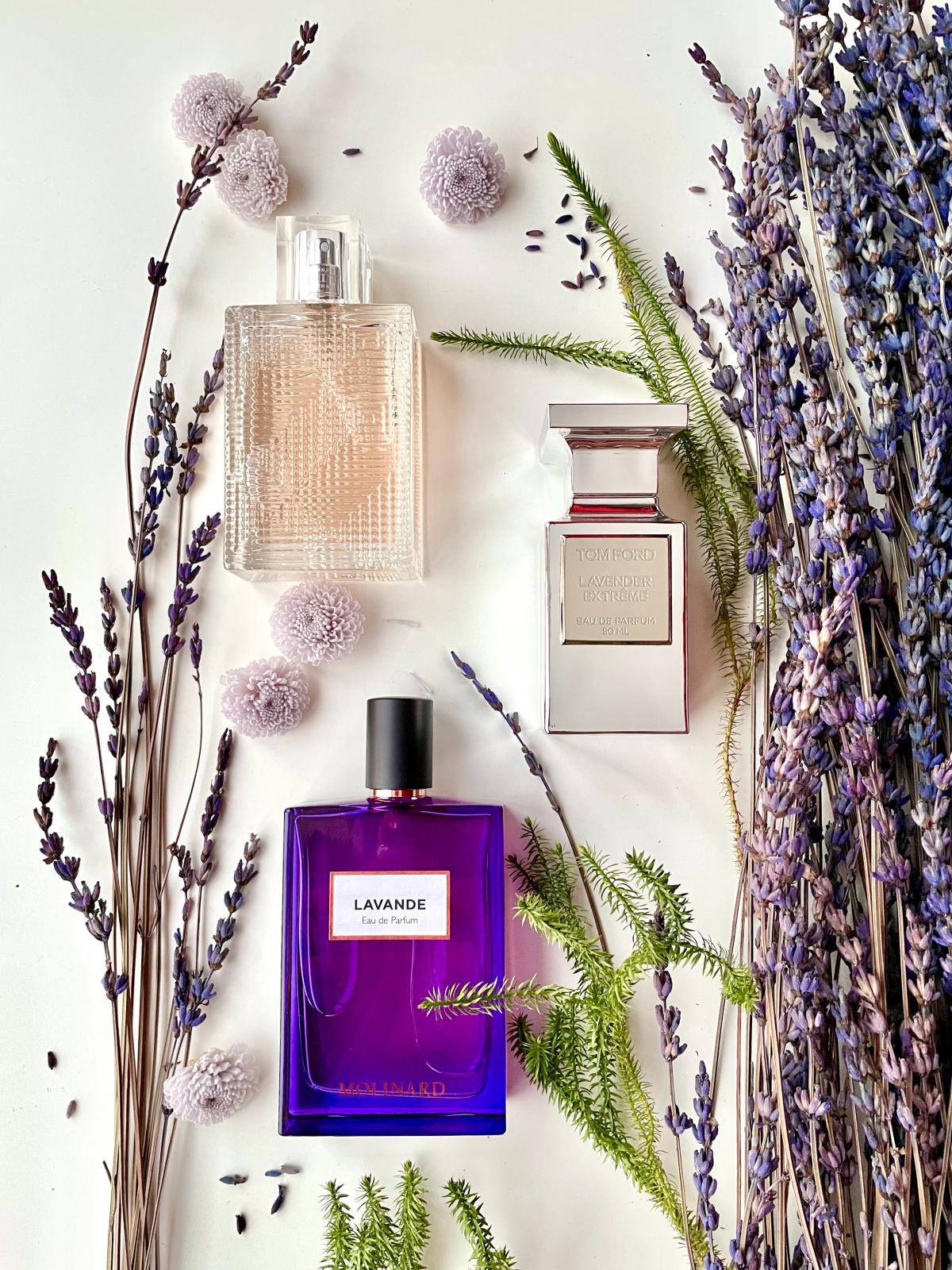 Lavender Extreme - Tom Ford - Gallery 2