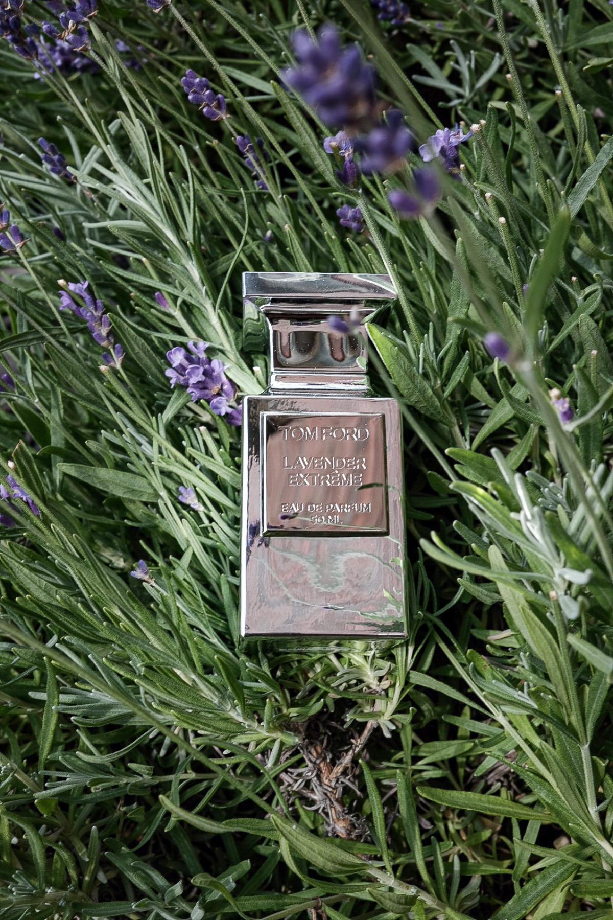 Lavender Extreme - Tom Ford - Gallery 2