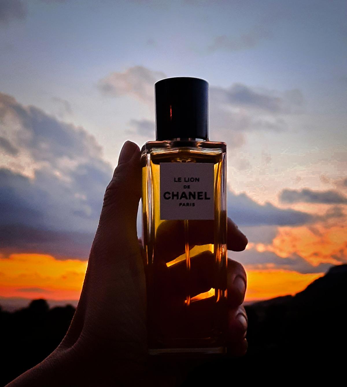 Le Lion de Chanel - Chanel - Gallery 2