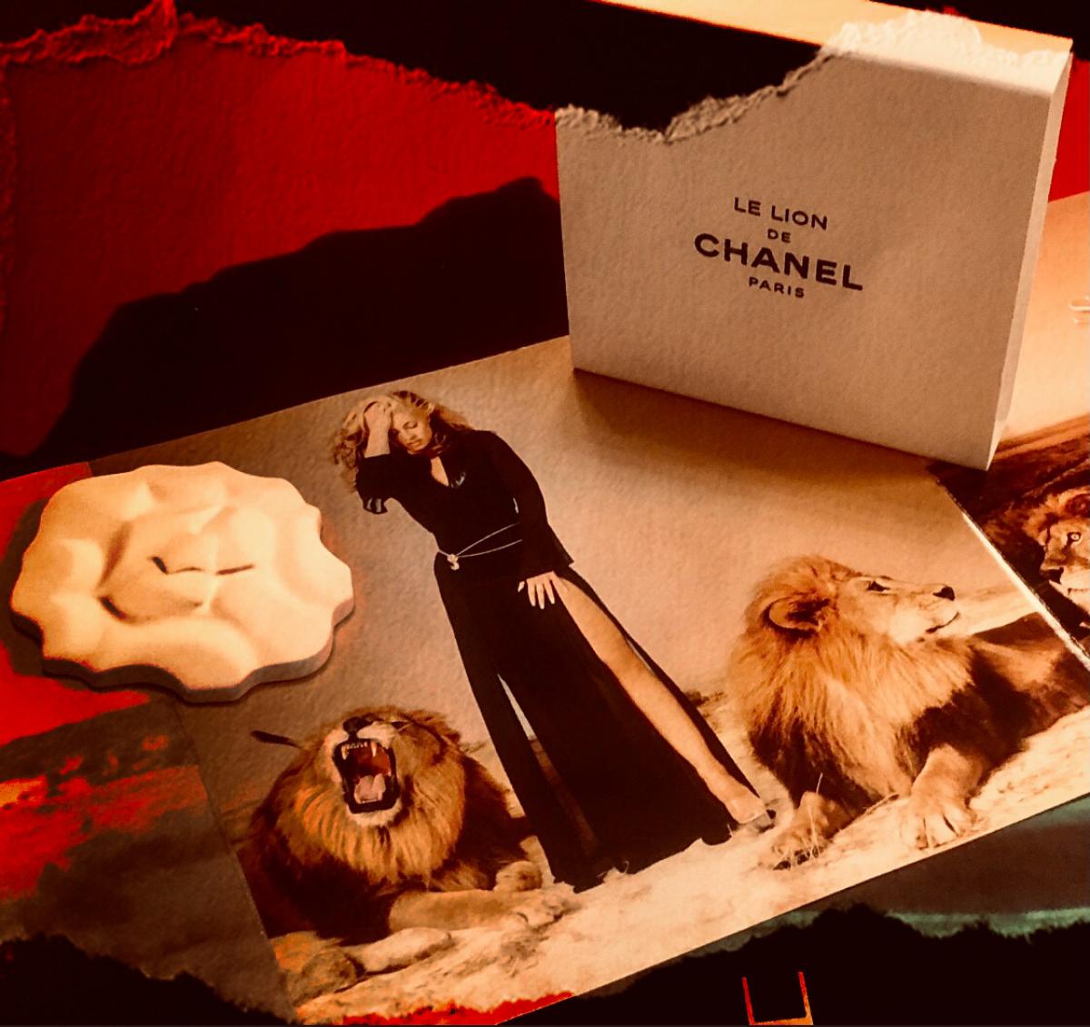 Le Lion de Chanel - Chanel - Gallery 2