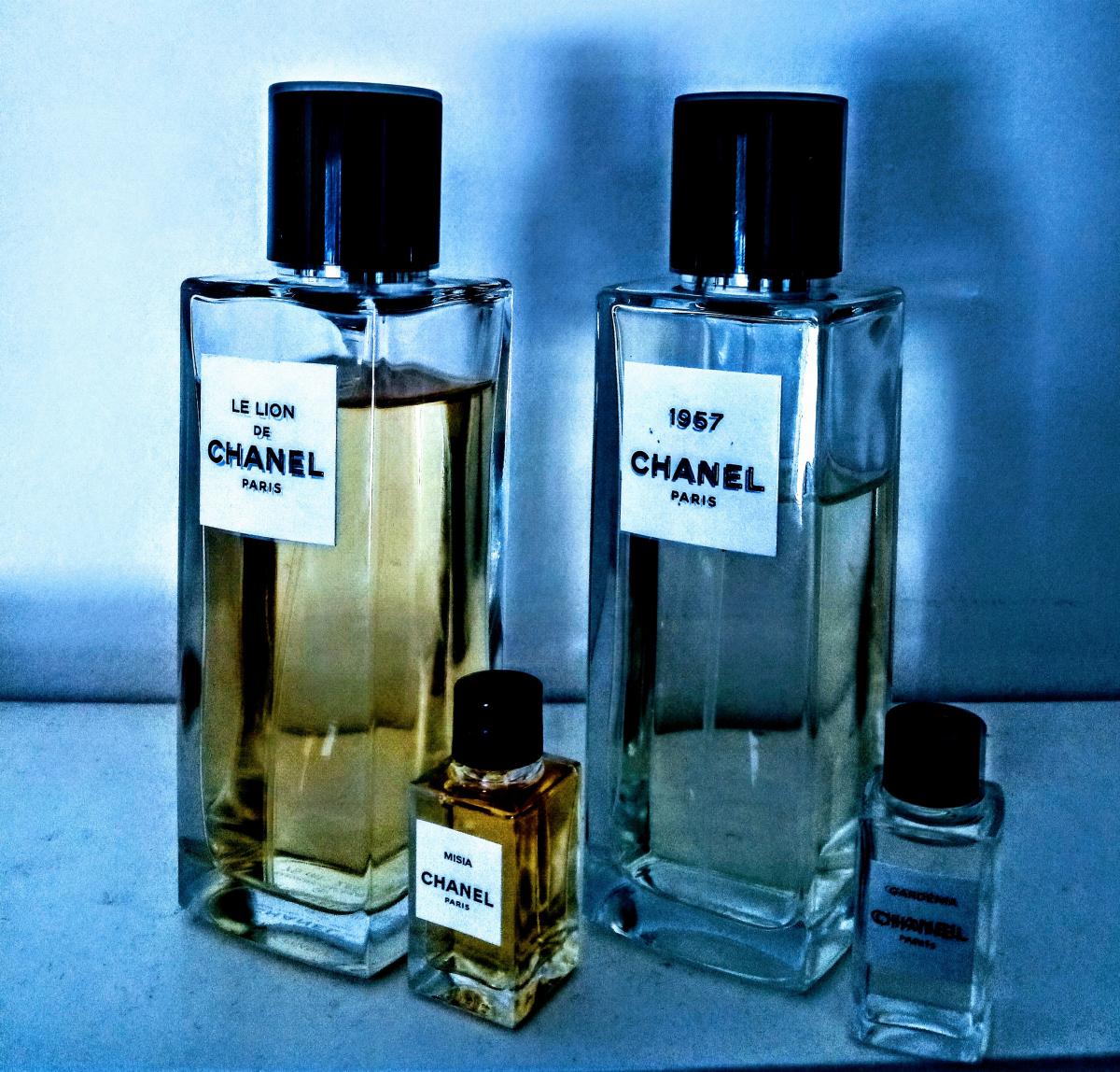 Le Lion de Chanel - Chanel - Gallery 4