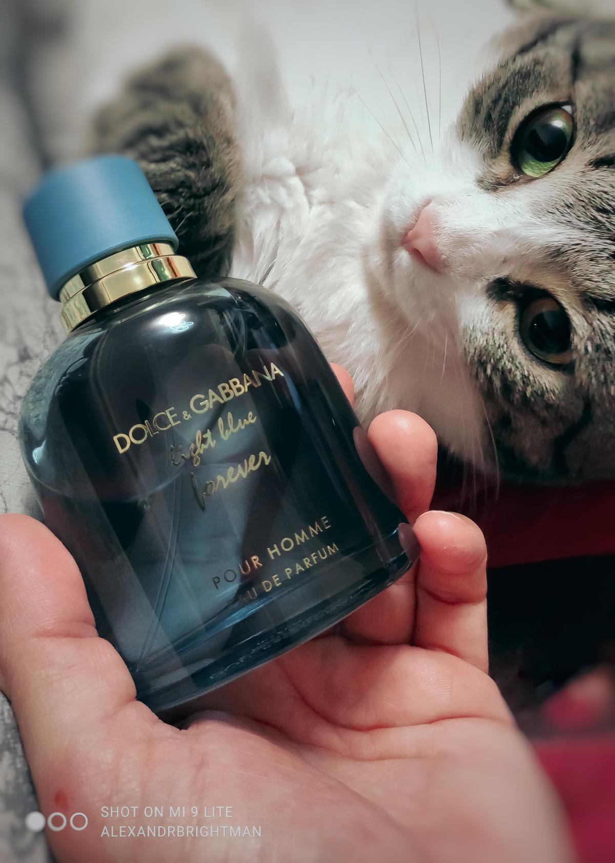 Light Blue Forever pour Homme - Dolce&Gabbana - Gallery 1