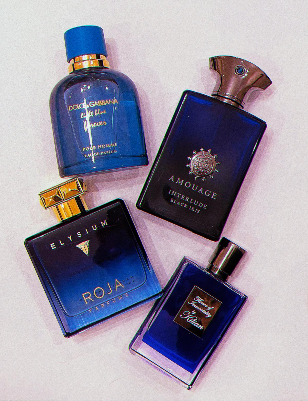 Light Blue Forever pour Homme - Dolce&Gabbana - Gallery 2