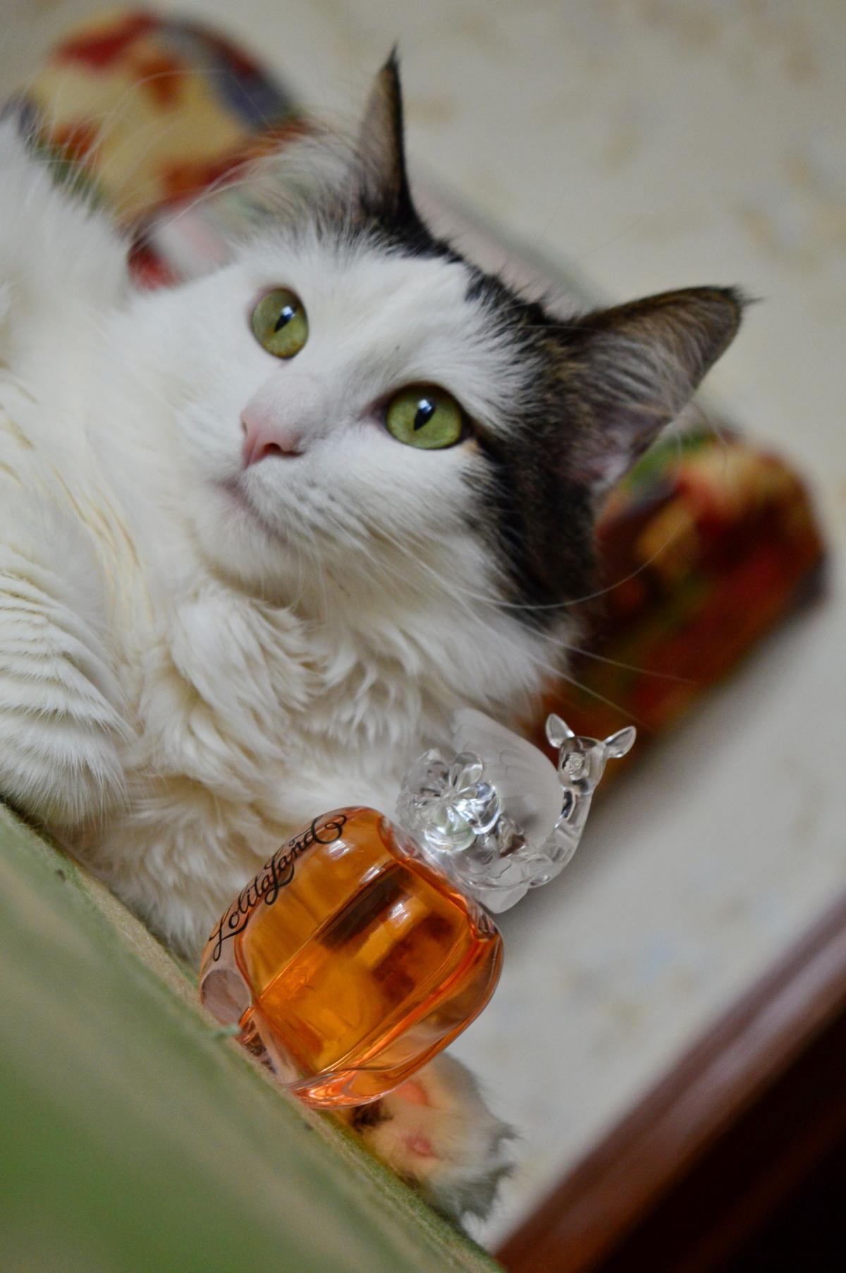 LolitaLand - Lolita Lempicka - Gallery 3