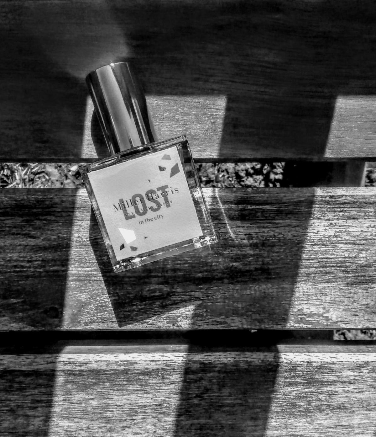 Lost In The City - Miller Harris - Gallery 2