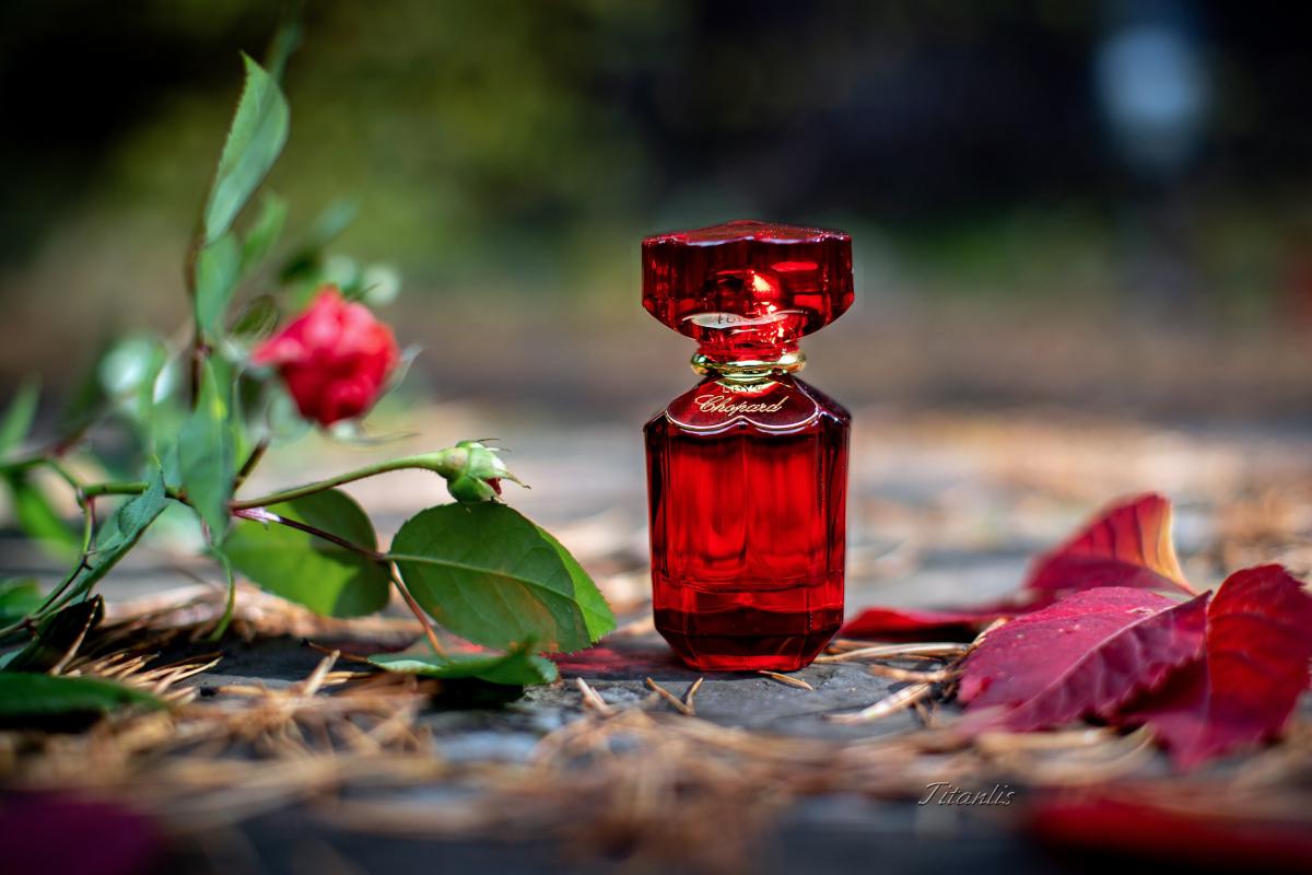 Love Chopard - Chopard - Gallery 4