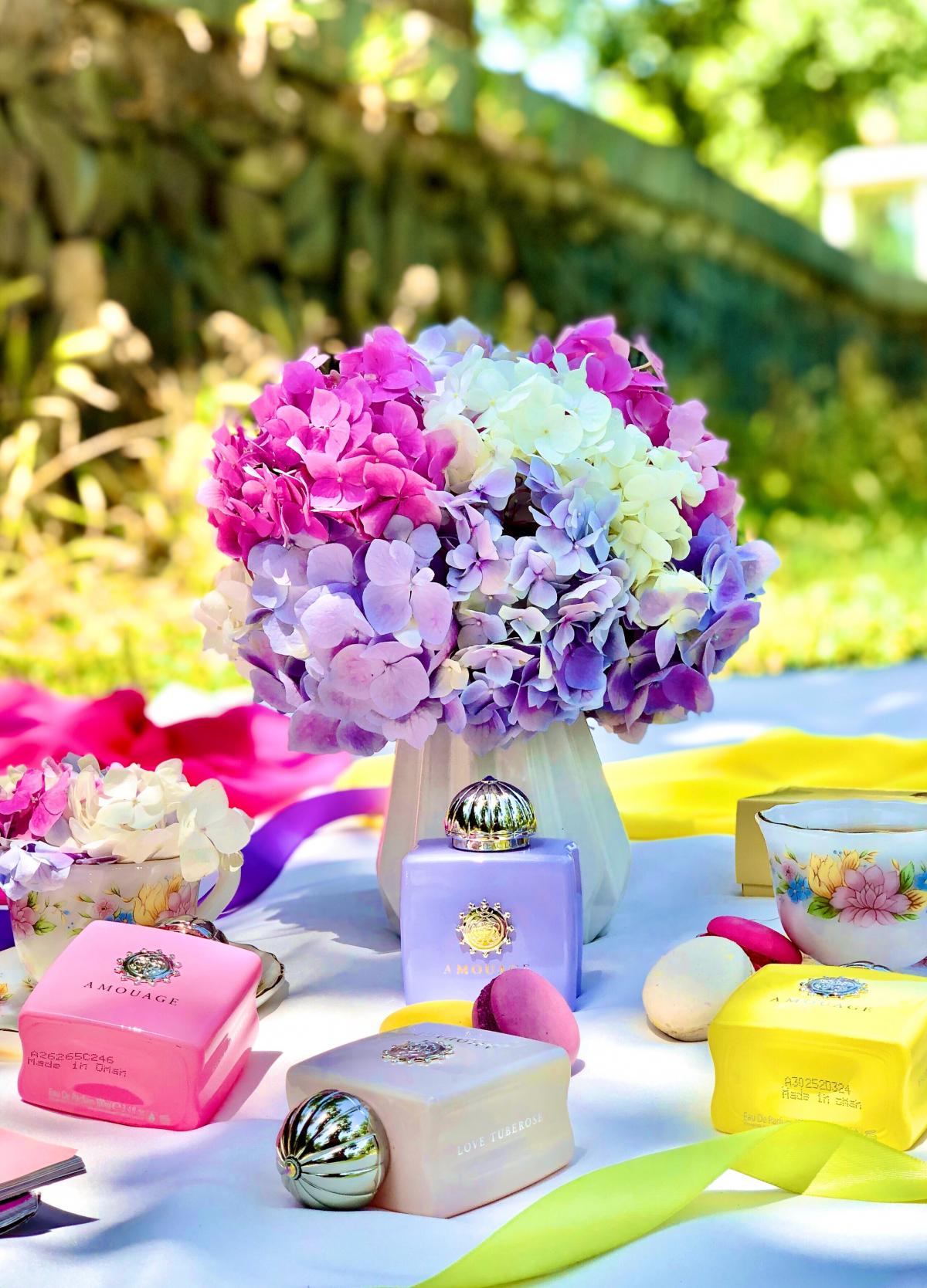 Love Mimosa - Amouage - Gallery 1
