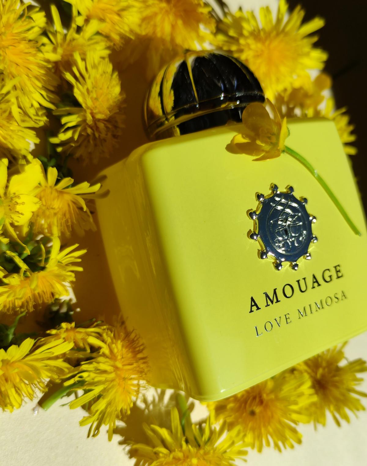 Love Mimosa - Amouage - Gallery 2