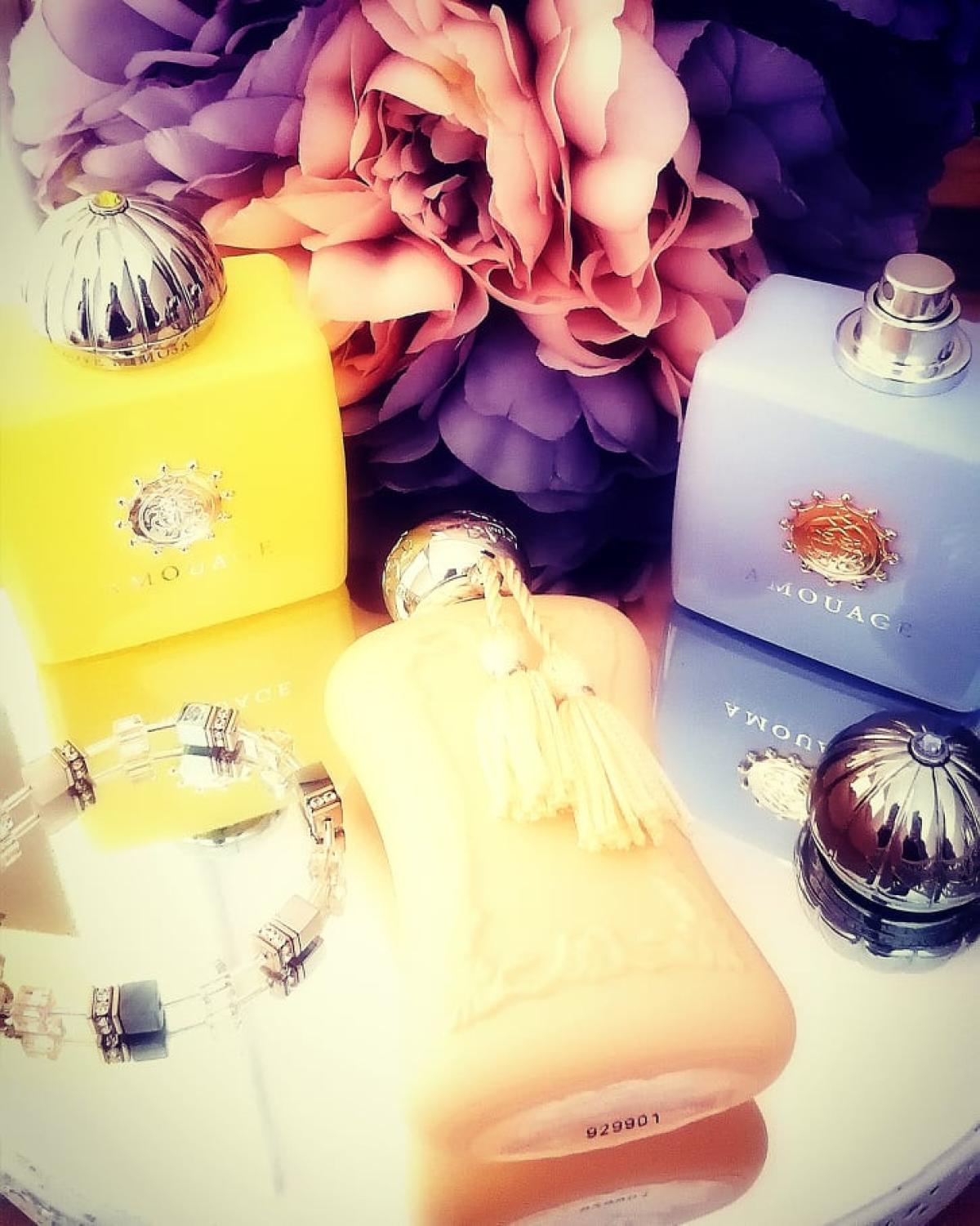 Love Mimosa - Amouage - Gallery 2