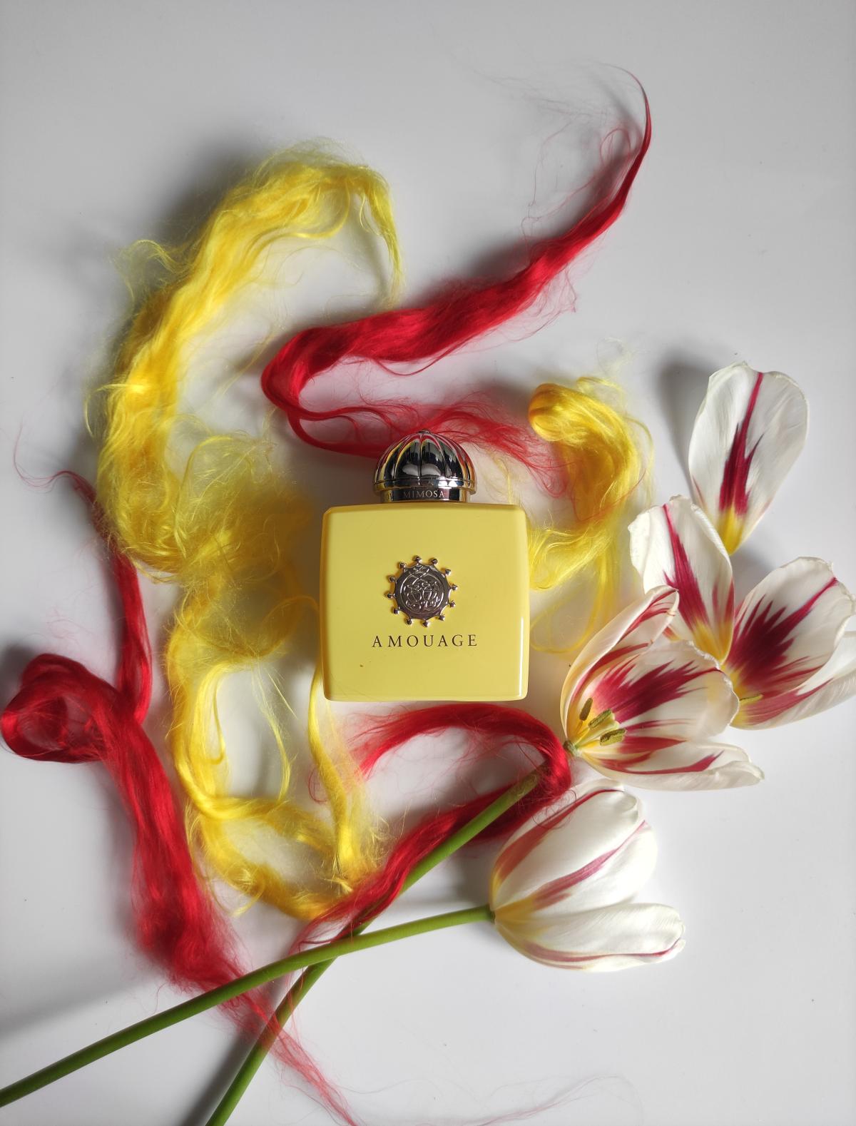 Love Mimosa - Amouage - Gallery 4